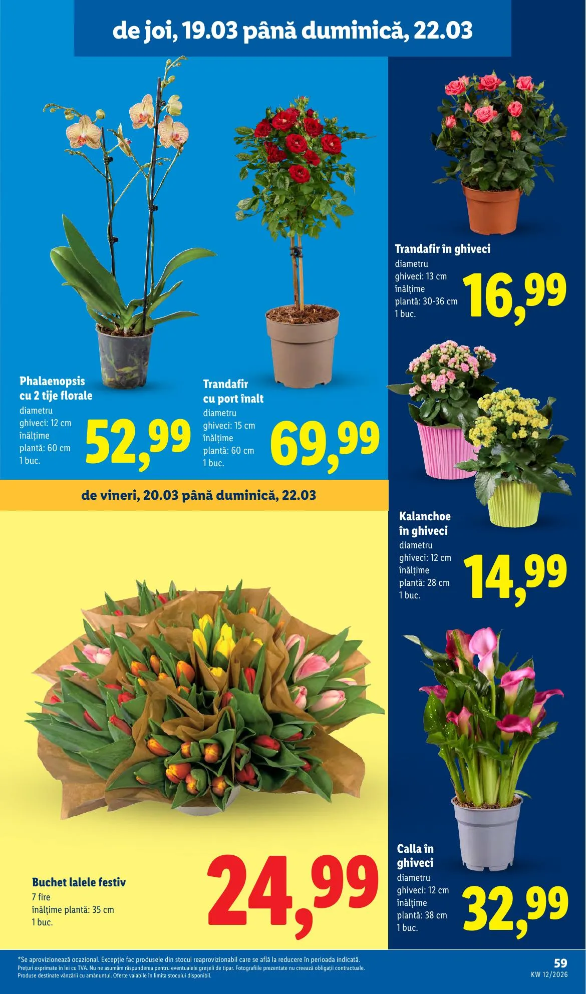 Lidl akciós újság Románia 03.16–03.22 – 59. oldal