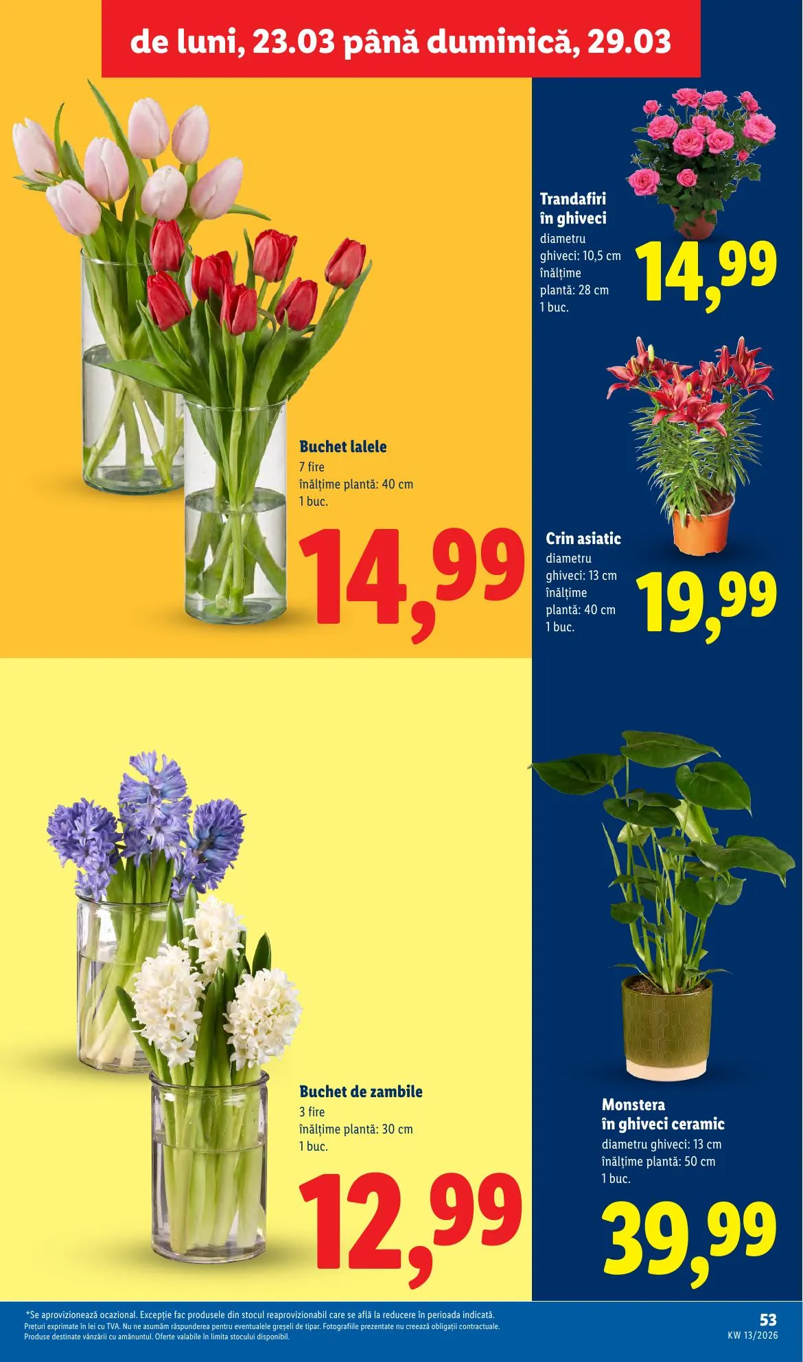 Lidl akciós újság Románia 03.23–03.29 – 53. oldal