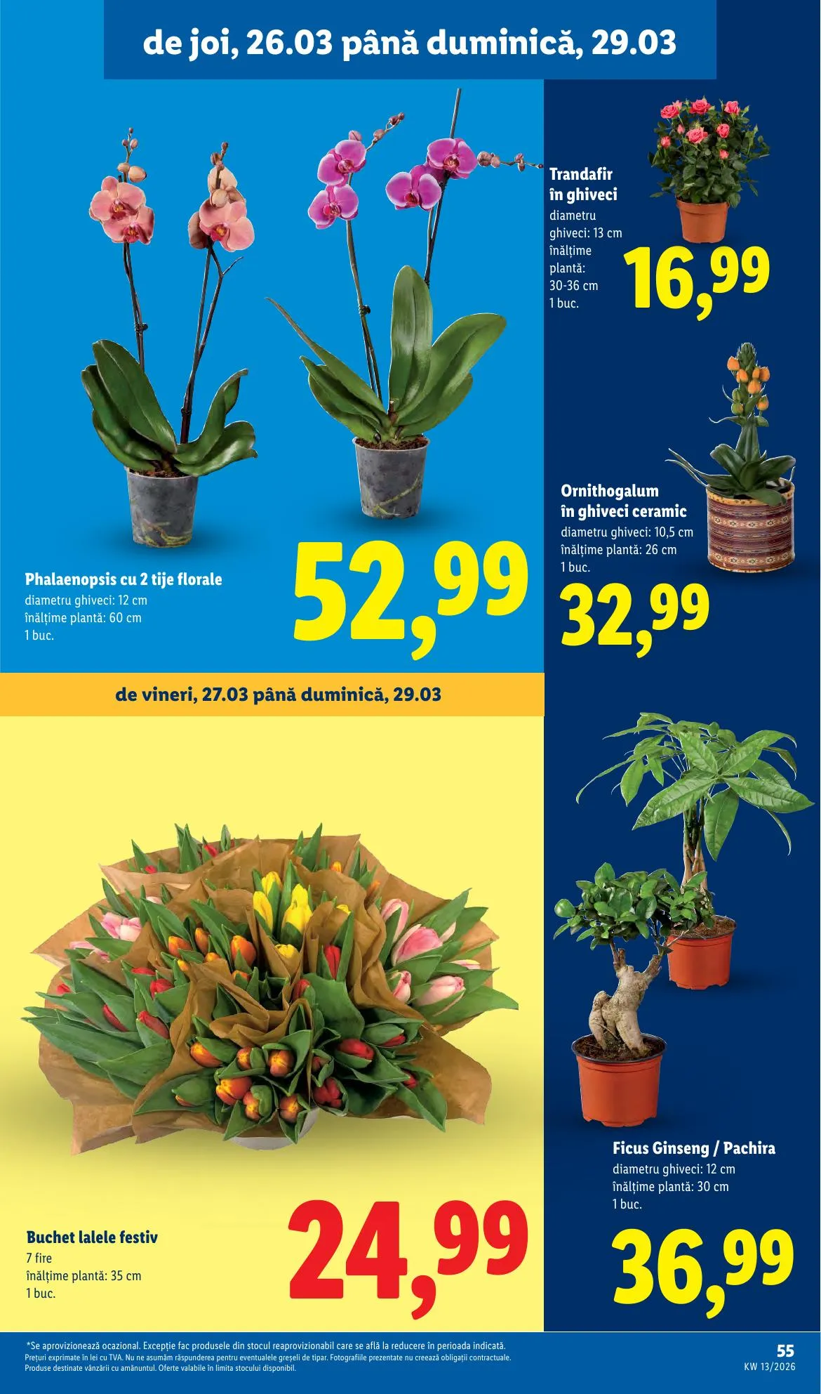 Lidl akciós újság Románia 03.23–03.29 – 55. oldal