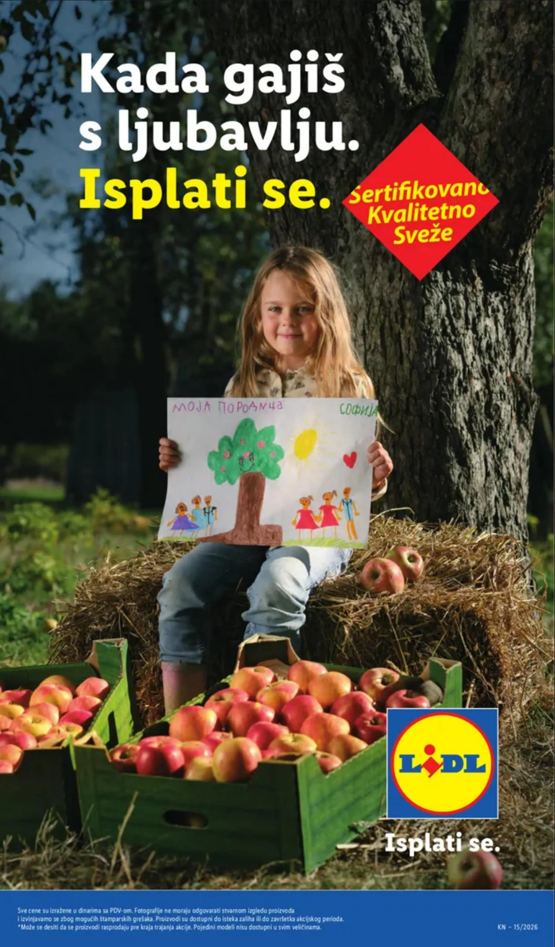 Lidl akciós újság Románia 04.09–04.15 – 17. oldal