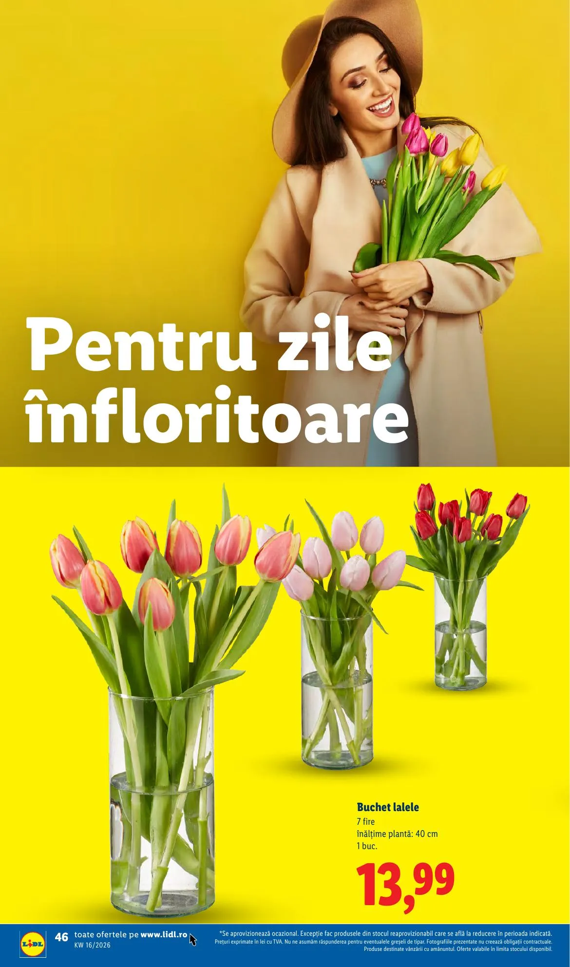 Lidl akciós újság Románia 04.14–04.19 – 46. oldal