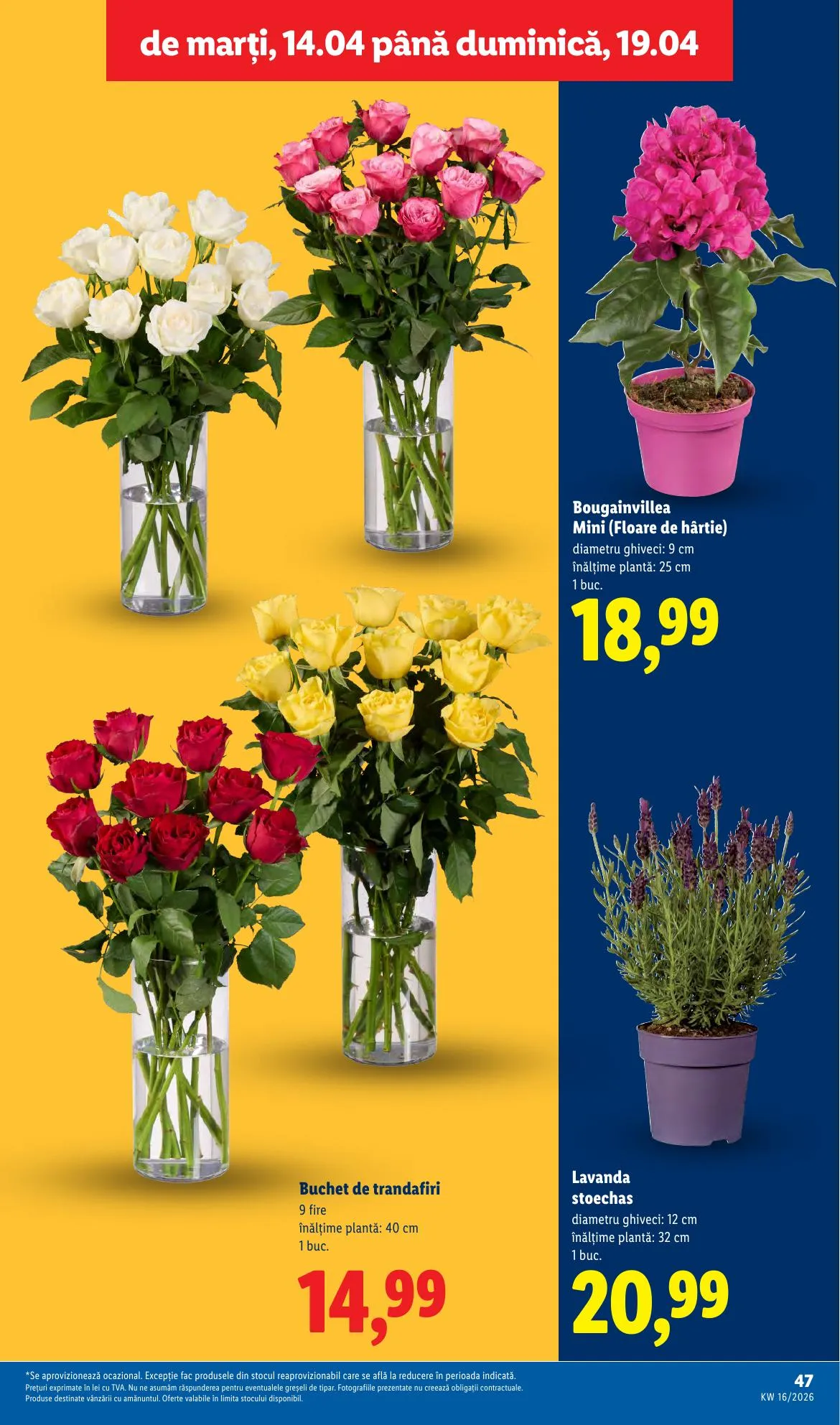 Lidl akciós újság Románia 04.14–04.19 – 47. oldal