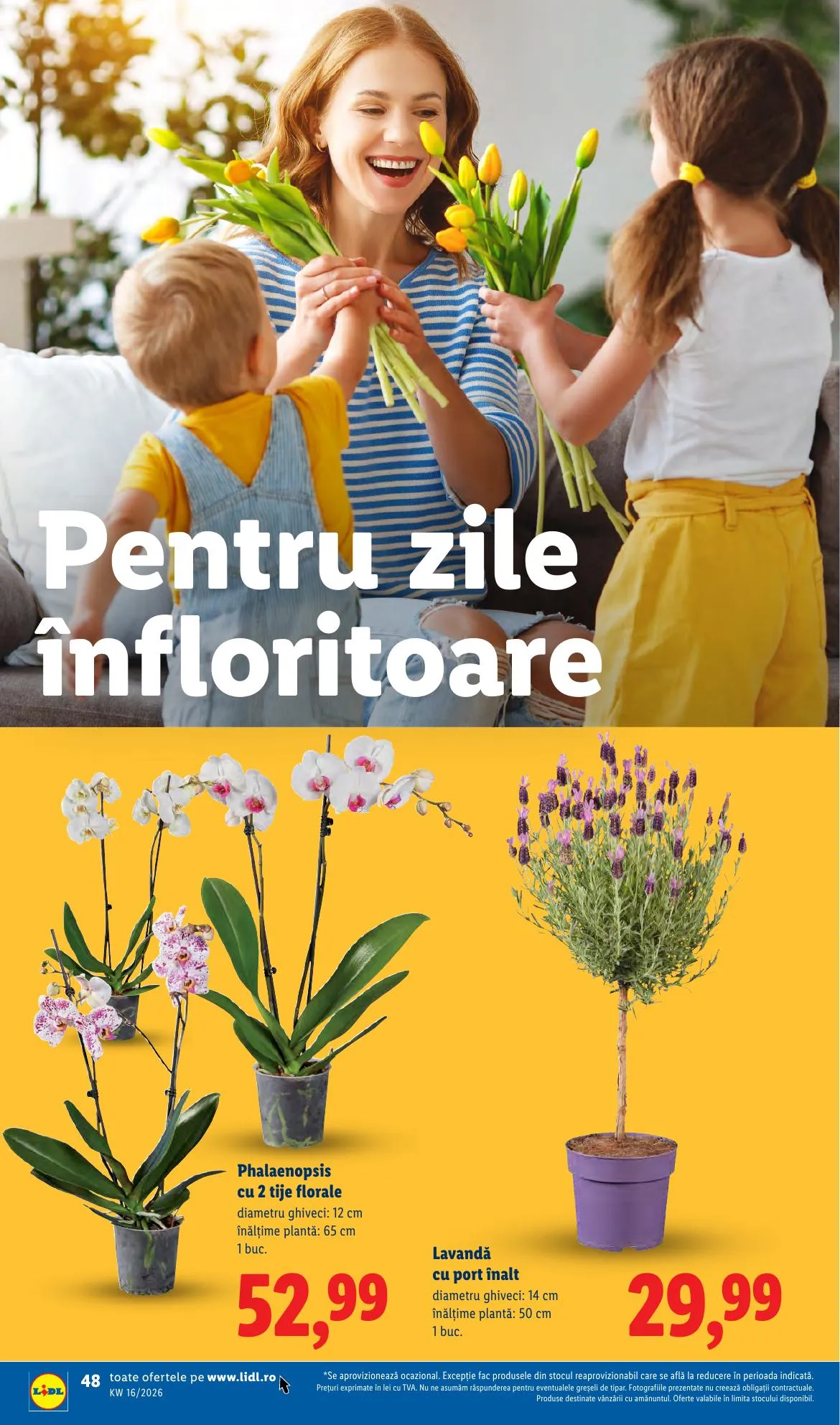 Lidl akciós újság Románia 04.14–04.19 – 48. oldal