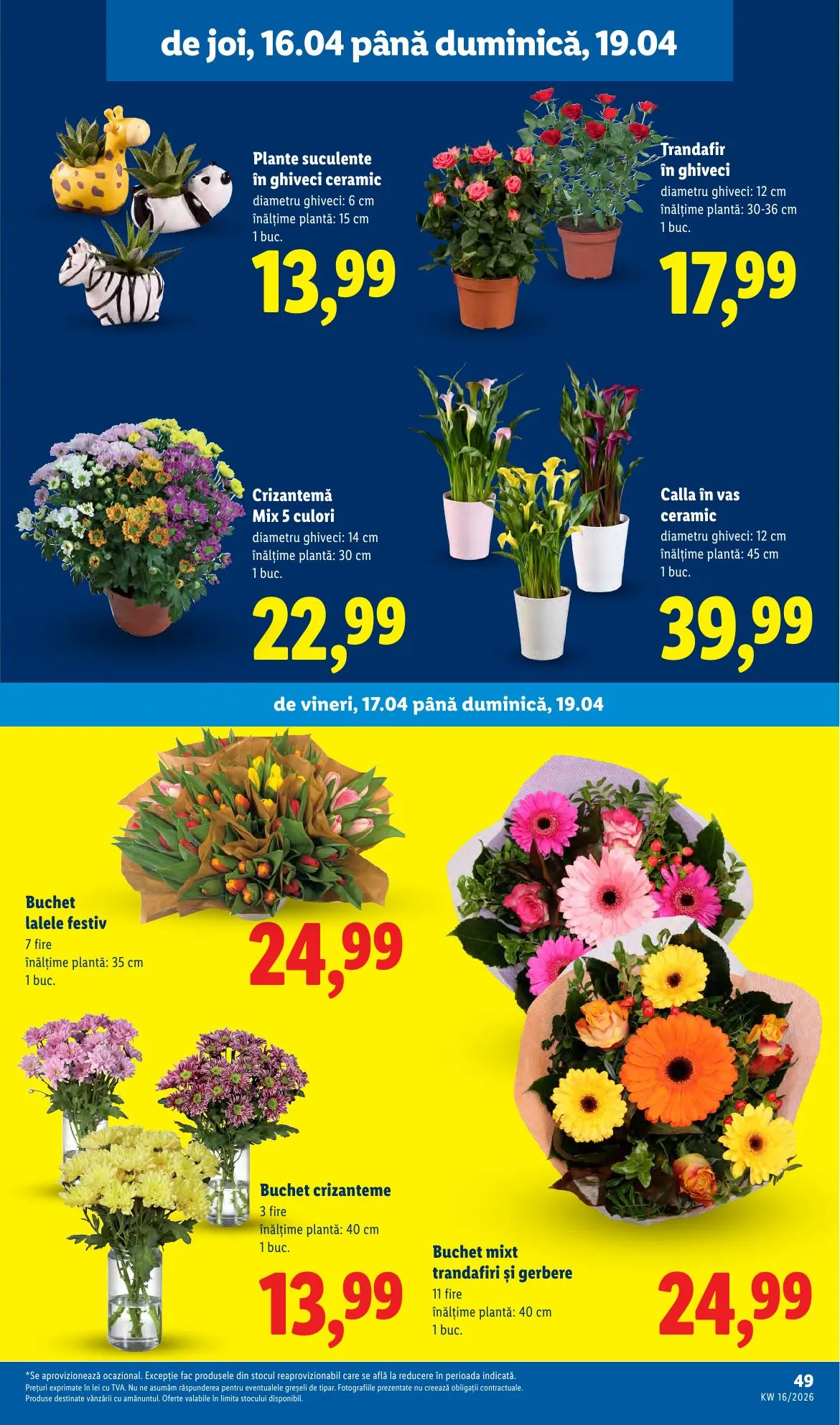 Lidl akciós újság Románia 04.14–04.19 – 49. oldal