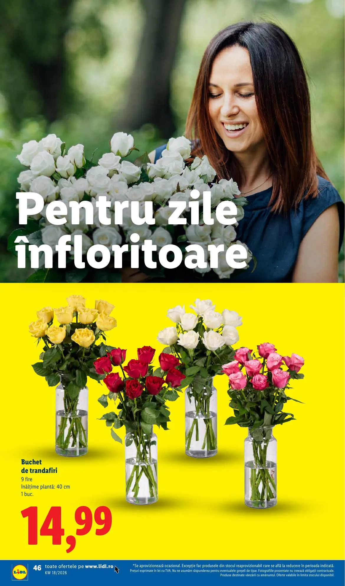 Lidl akciós újság Románia 04.27–05.03 – 46. oldal