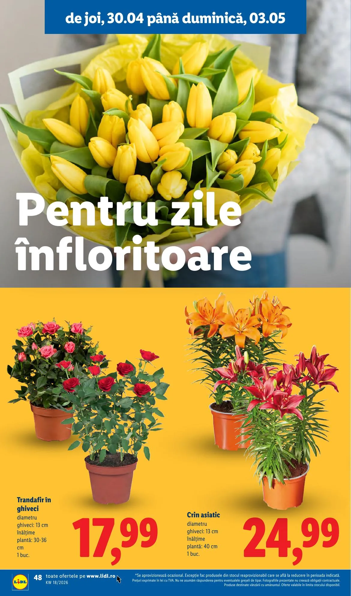 Lidl akciós újság Románia 04.27–05.03 – 48. oldal