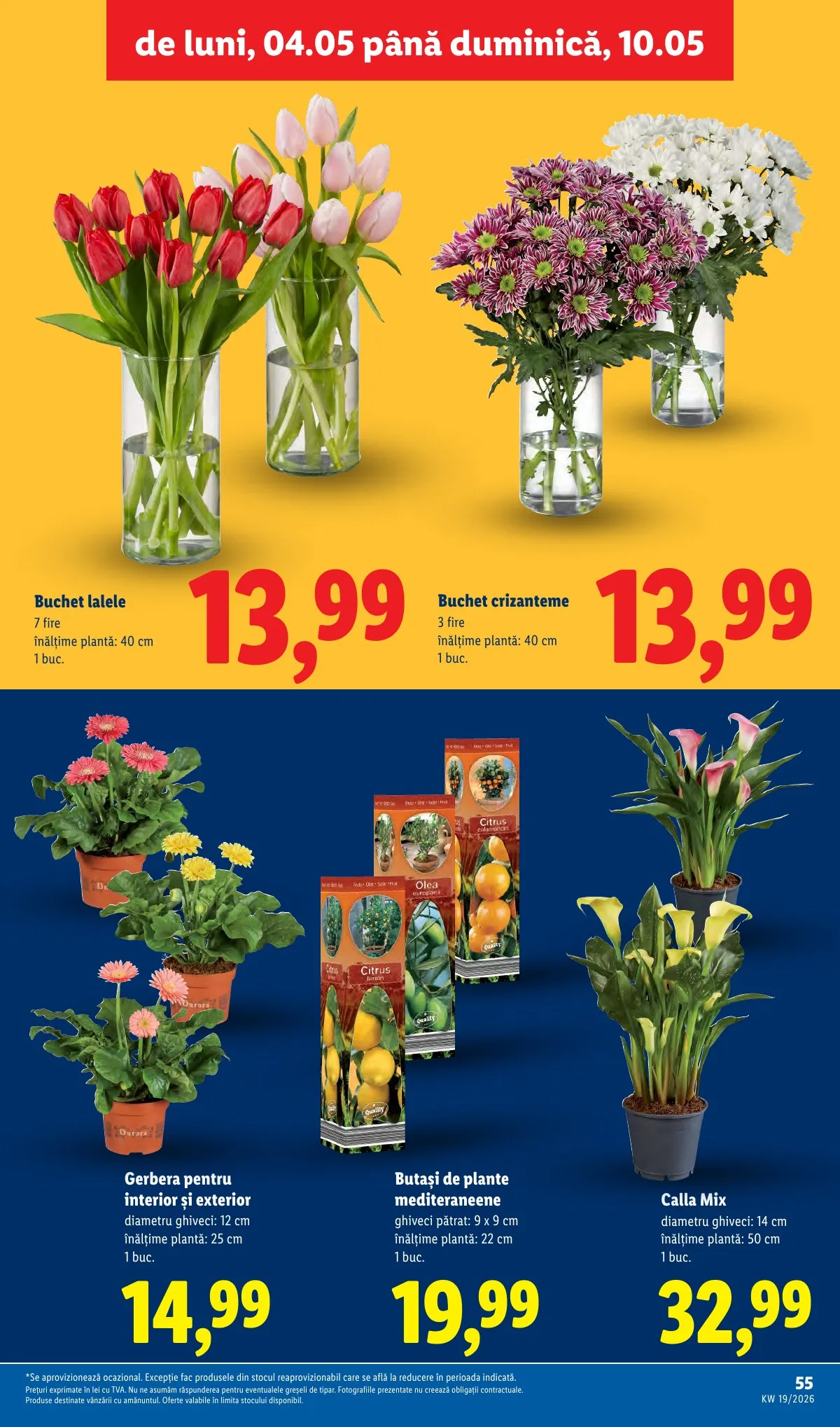 Lidl akciós újság Románia 05.04–05.10 – 55. oldal