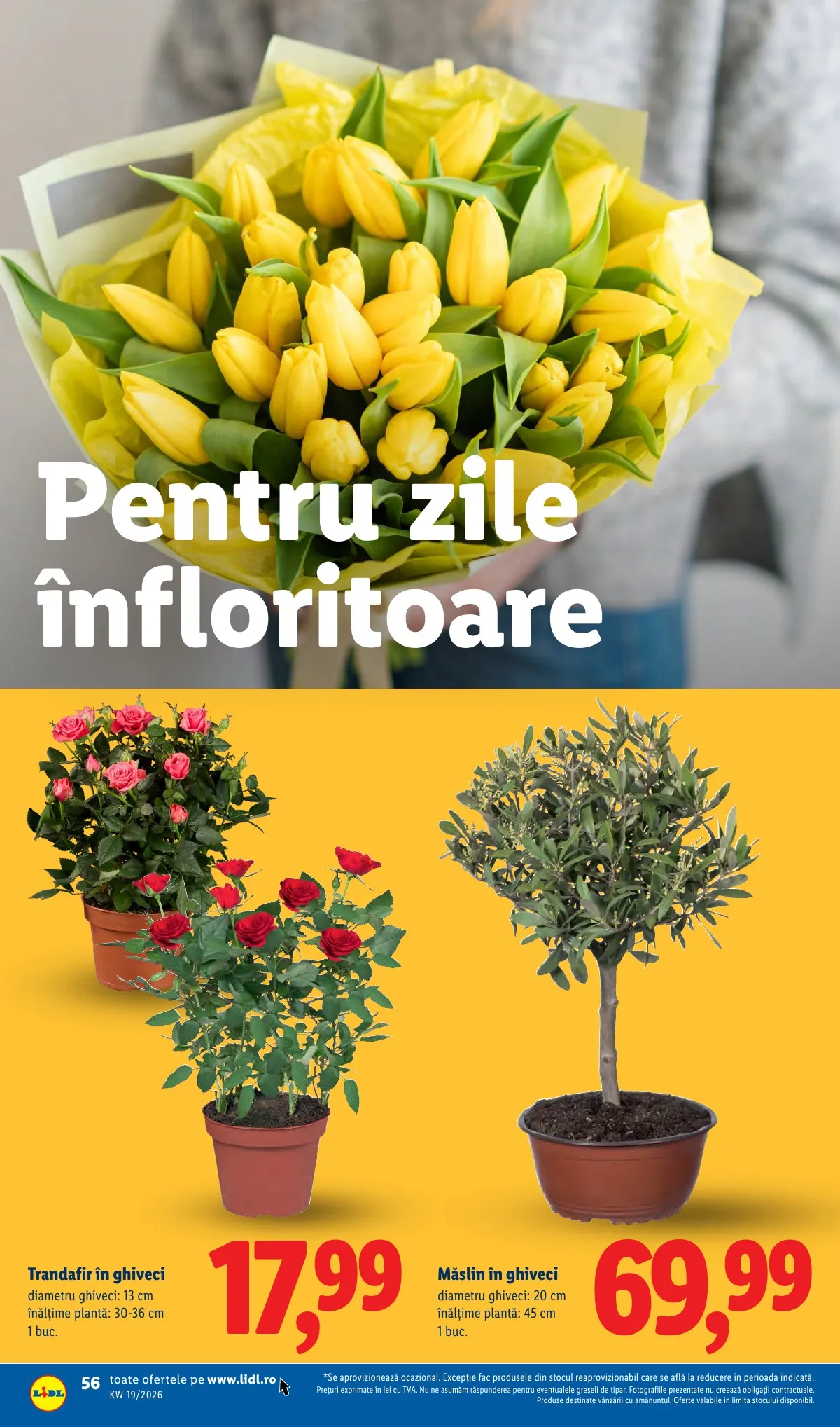 Lidl akciós újság Románia 05.04–05.10 – 56. oldal