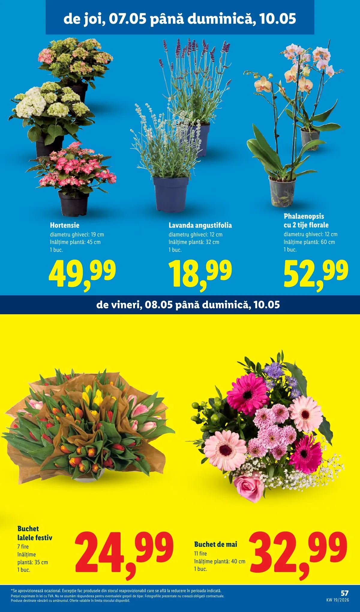 Lidl akciós újság Románia 05.04–05.10 – 57. oldal