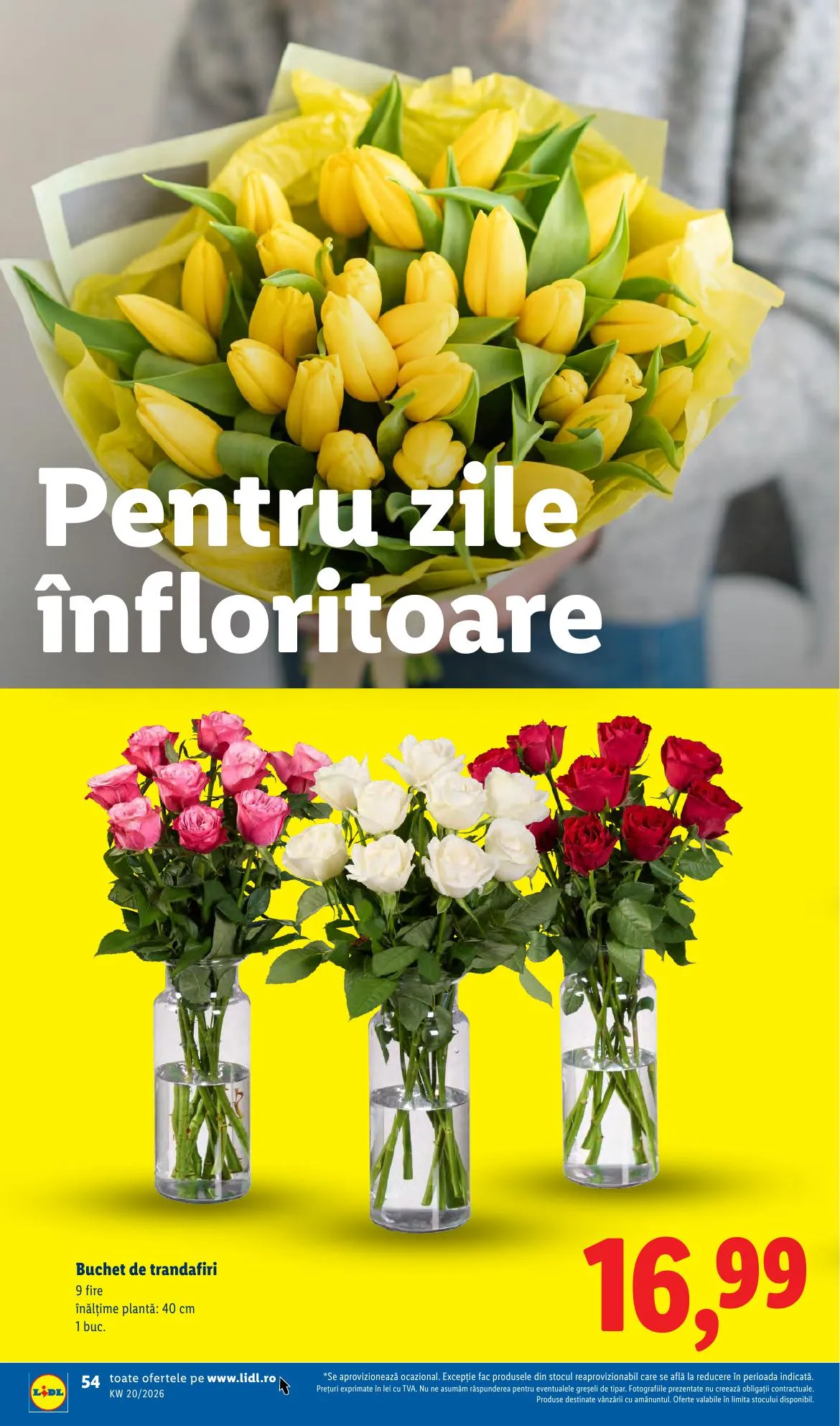 Lidl akciós újság Románia 05.11–05.17 – 54. oldal