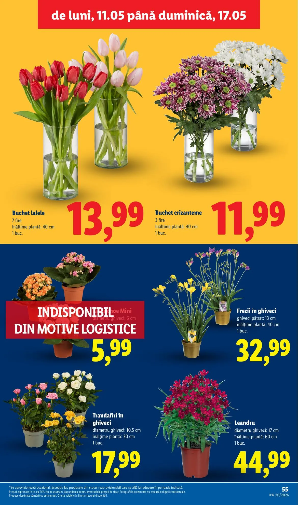 Lidl akciós újság Románia 05.11–05.17 – 55. oldal