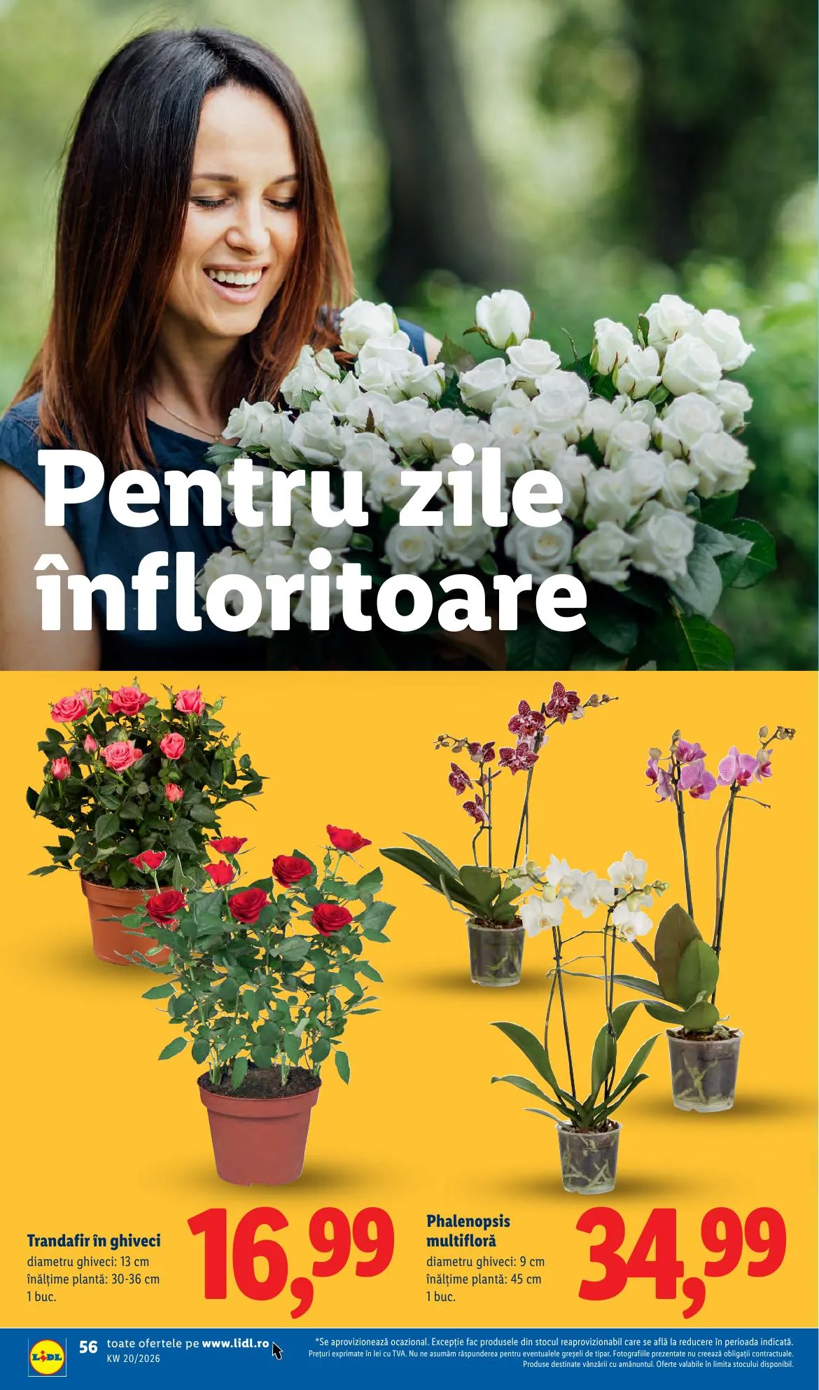 Lidl akciós újság Románia 05.11–05.17 – 56. oldal