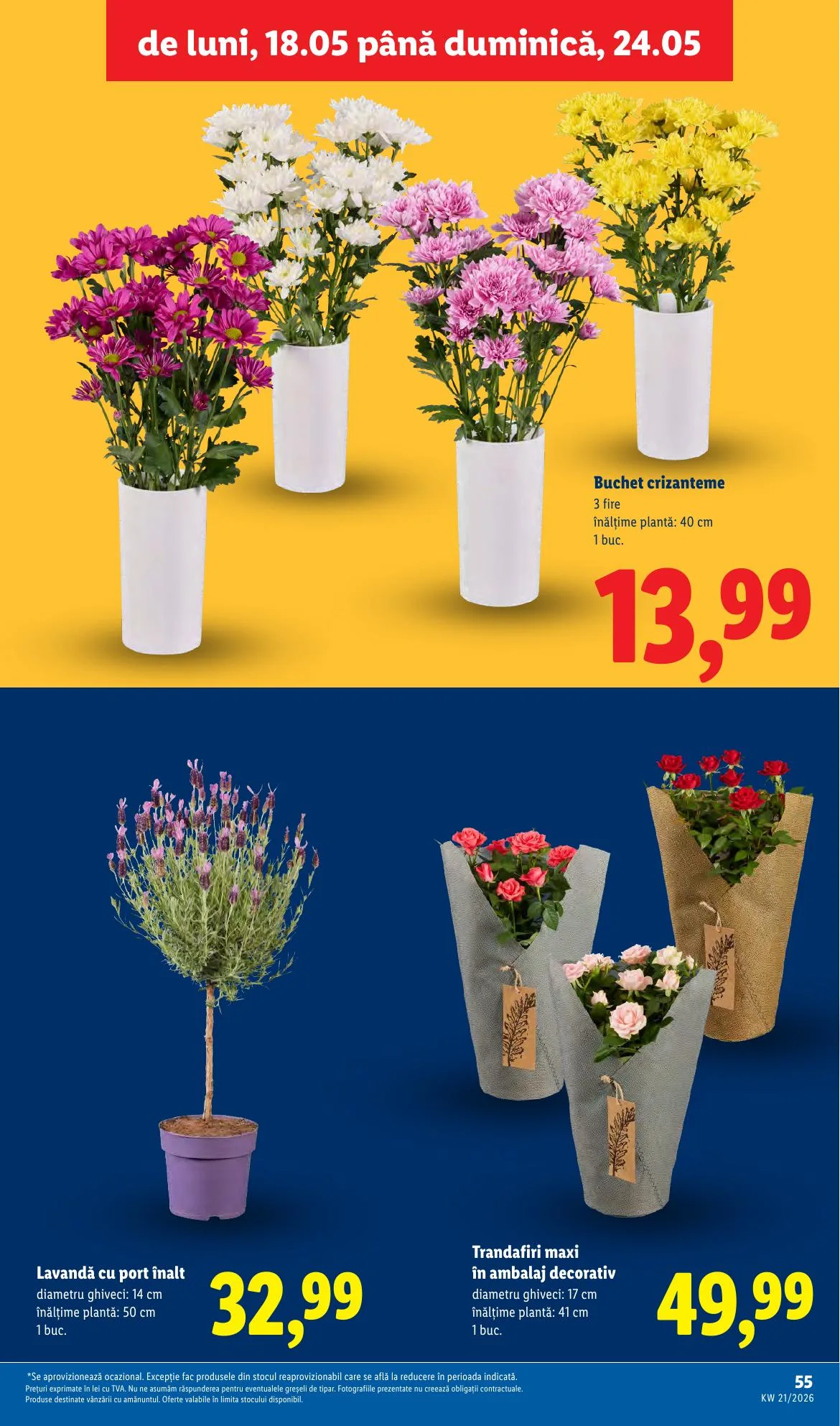 Lidl akciós újság Románia 05.18–05.24 – 55. oldal