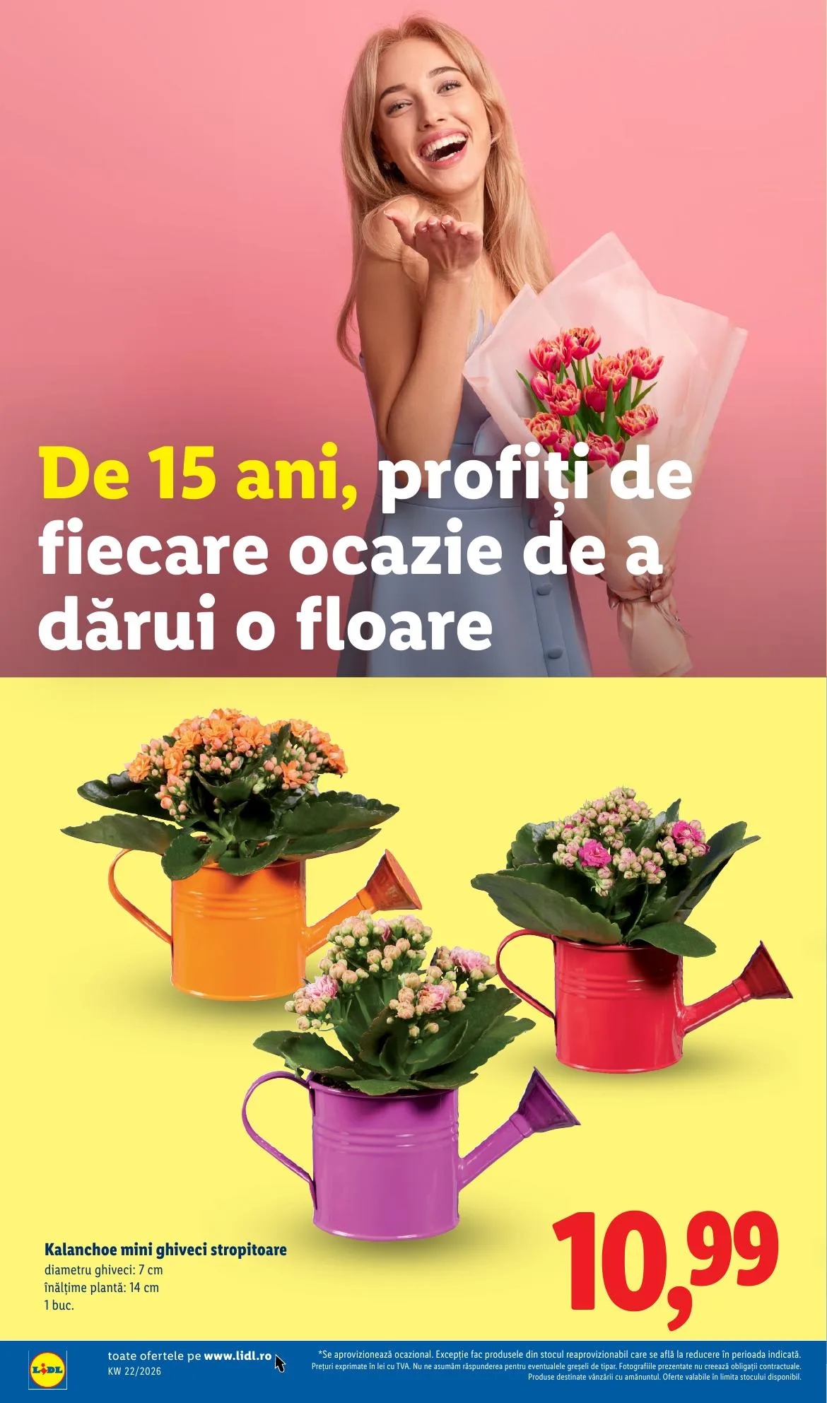 Lidl akciós újság Románia 05.25–05.31 – 48. oldal