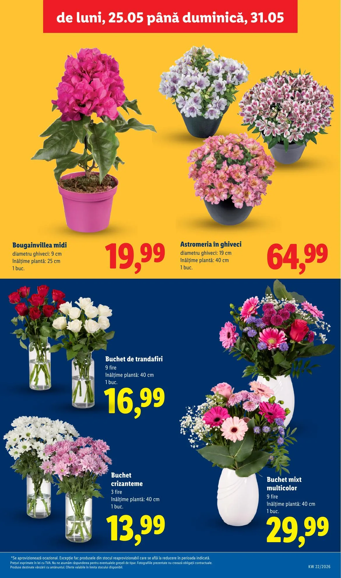 Lidl akciós újság Románia 05.25–05.31 – 49. oldal