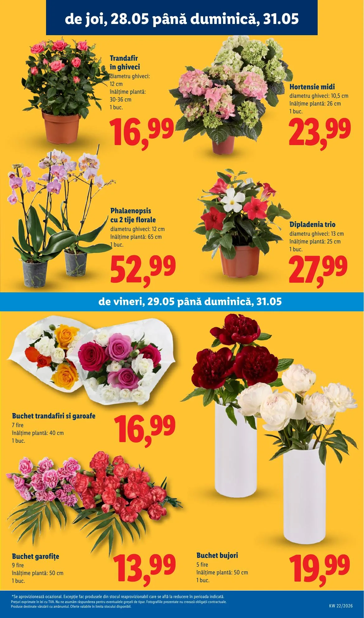 Lidl akciós újság Románia 05.25–05.31 – 51. oldal