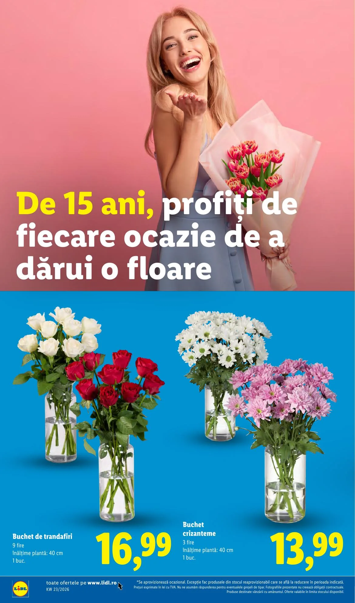 Lidl akciós újság Románia 06.01–06.07 – 46. oldal