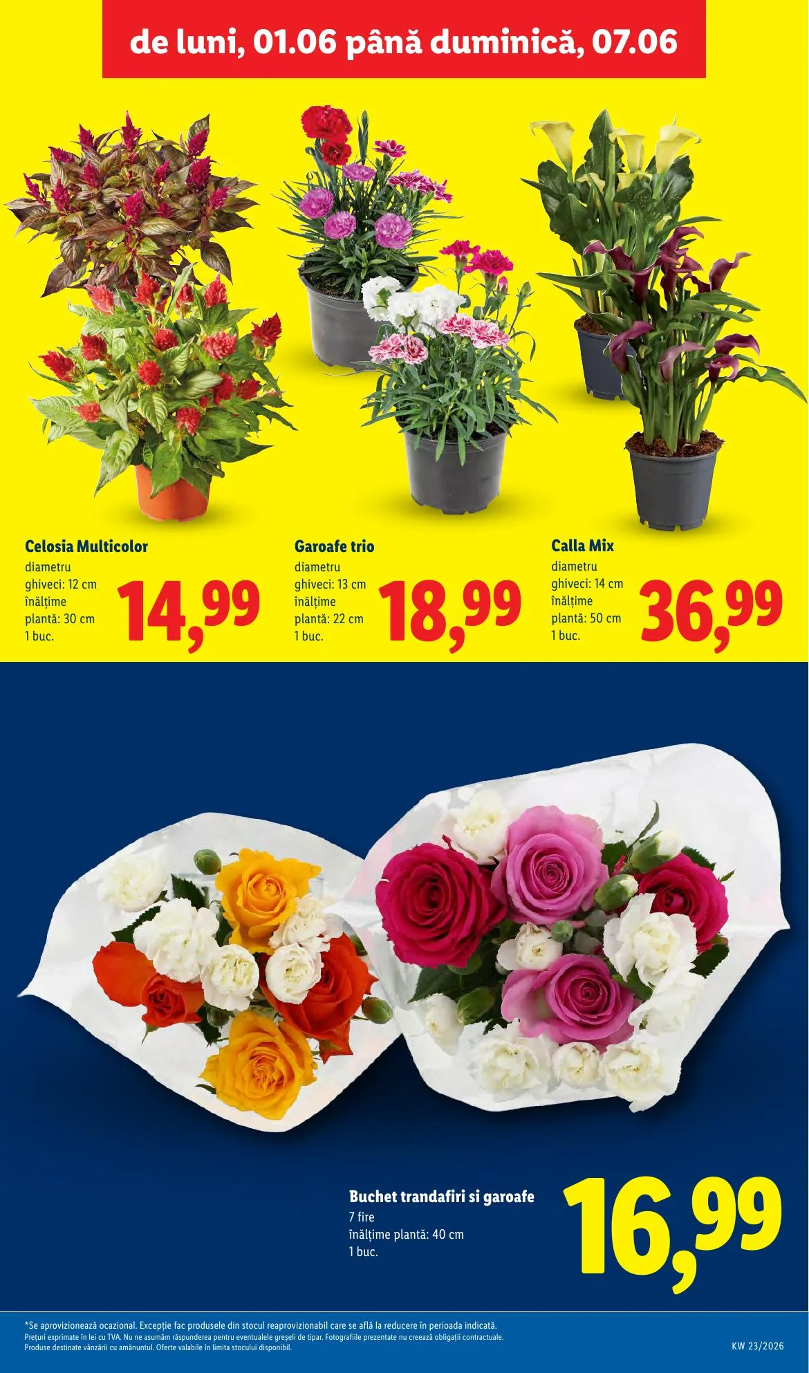 Lidl akciós újság Románia 06.01–06.07 – 47. oldal