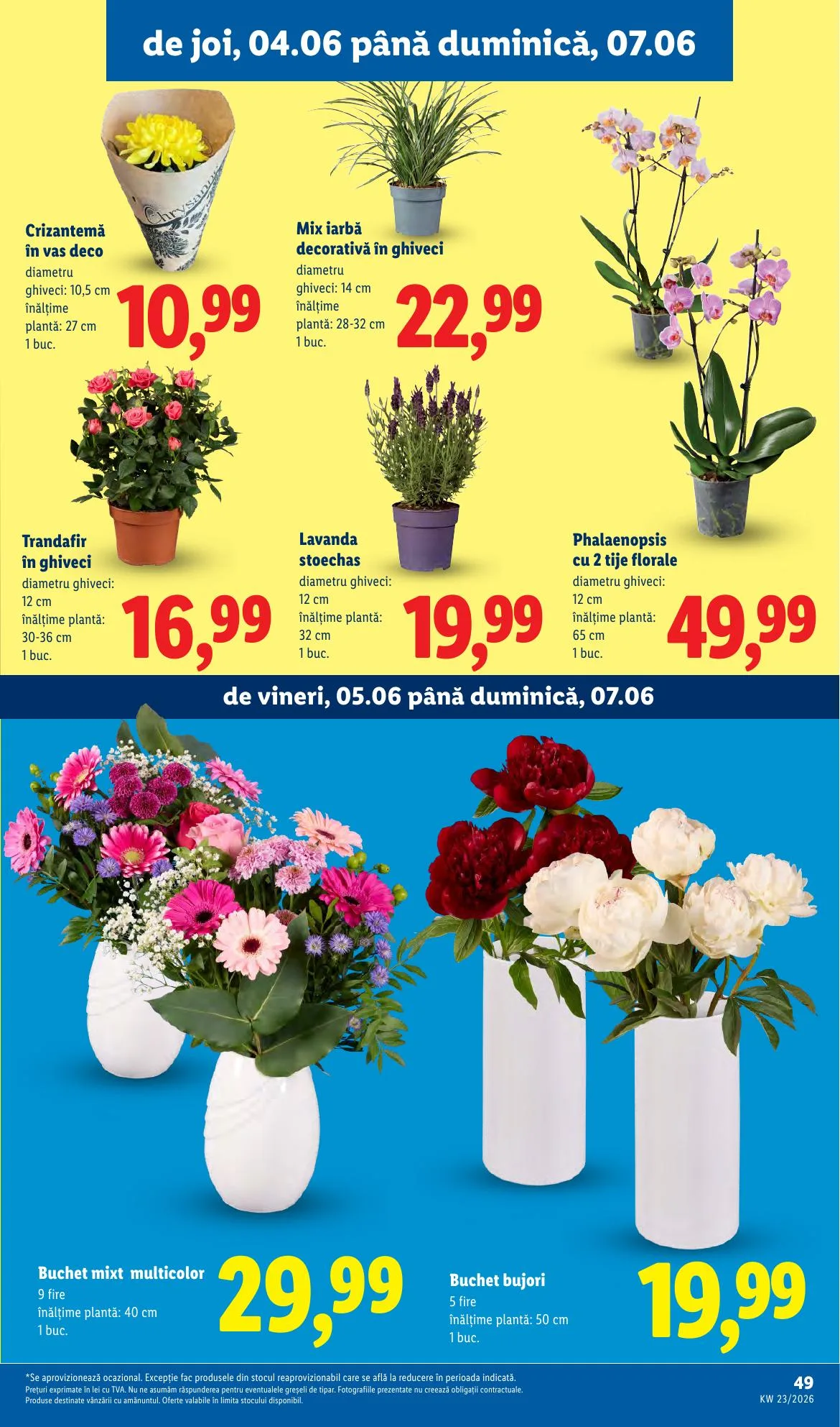 Lidl akciós újság Románia 06.01–06.07 – 49. oldal