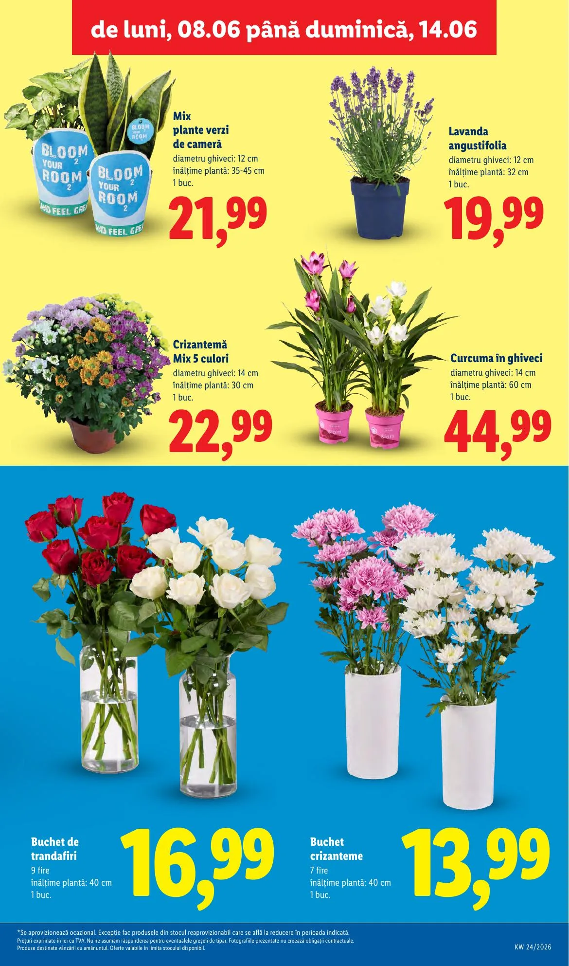 Lidl akciós újság Románia 06.08–06.14 – 65. oldal