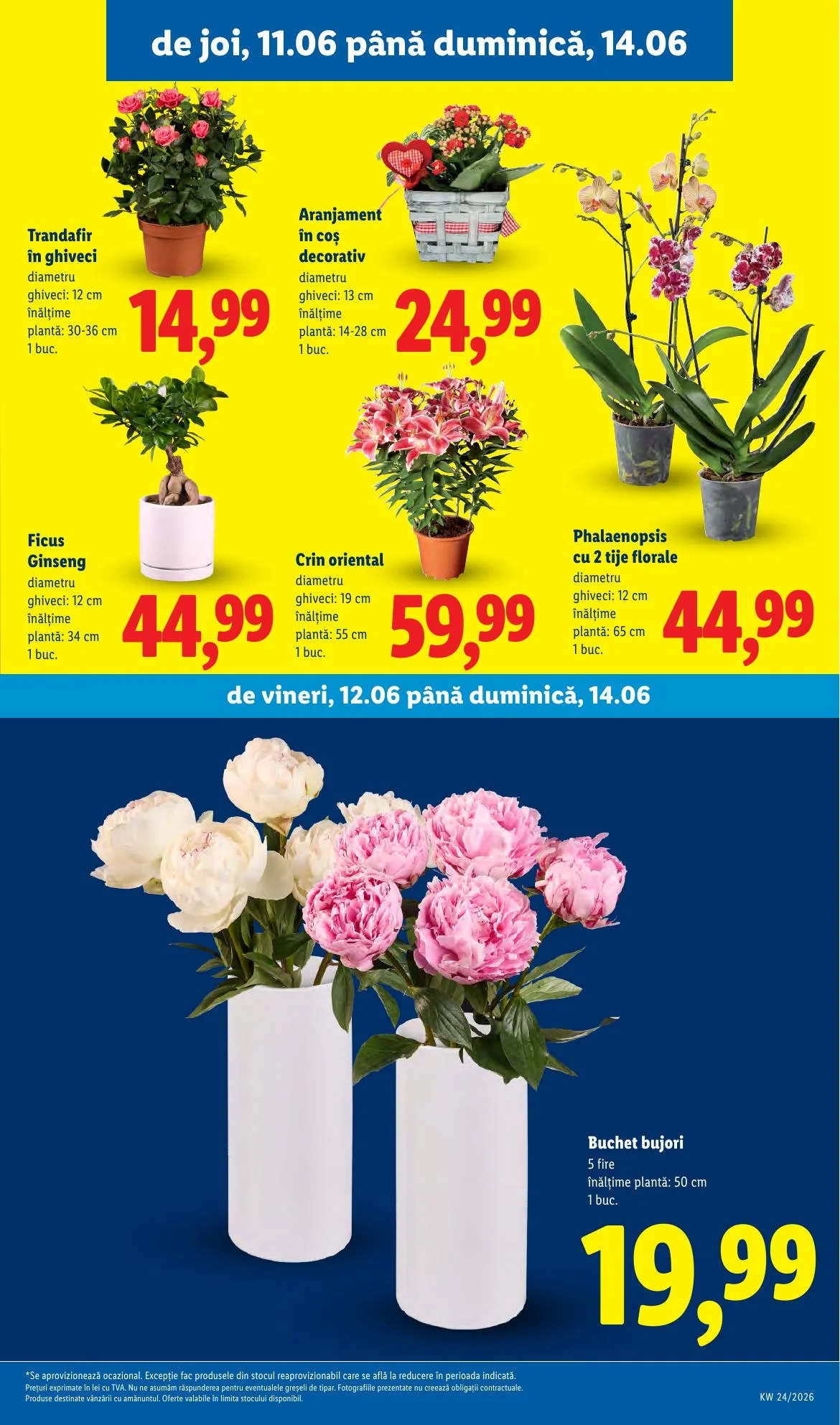 Lidl akciós újság Románia 06.08–06.14 – 67. oldal