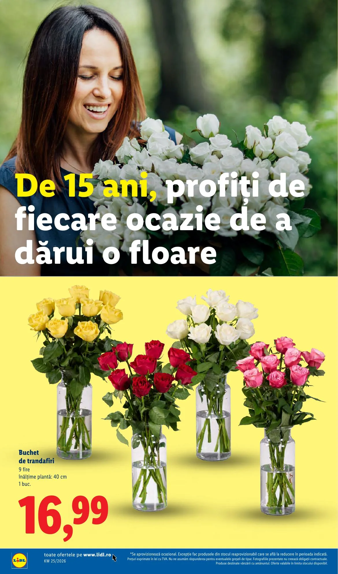 Lidl akciós újság Románia 06.15–06.21 – 54. oldal