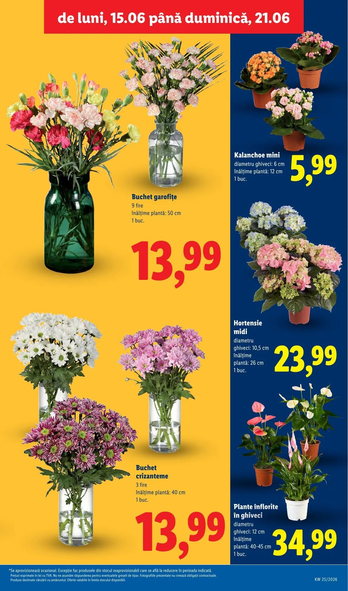 Lidl akciós újság Románia 06.15–06.21 – 55. oldal