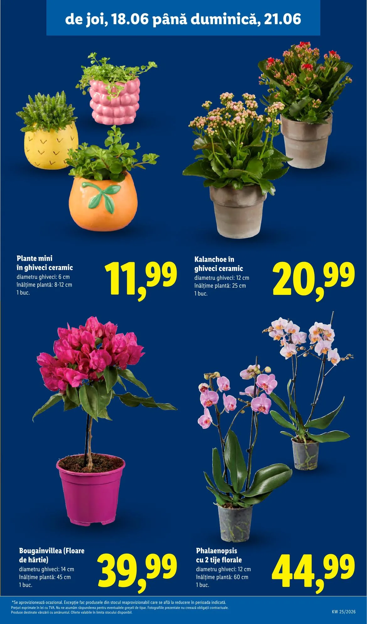 Lidl akciós újság Románia 06.15–06.21 – 57. oldal