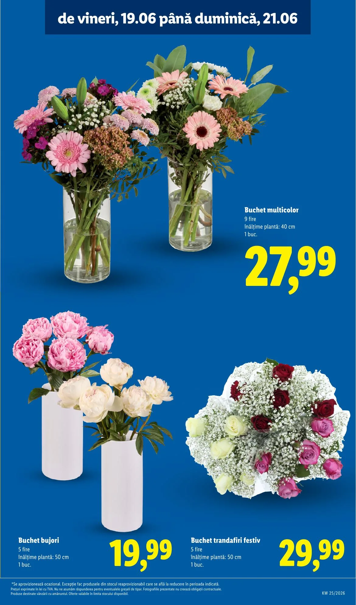 Lidl akciós újság Románia 06.15–06.21 – 59. oldal