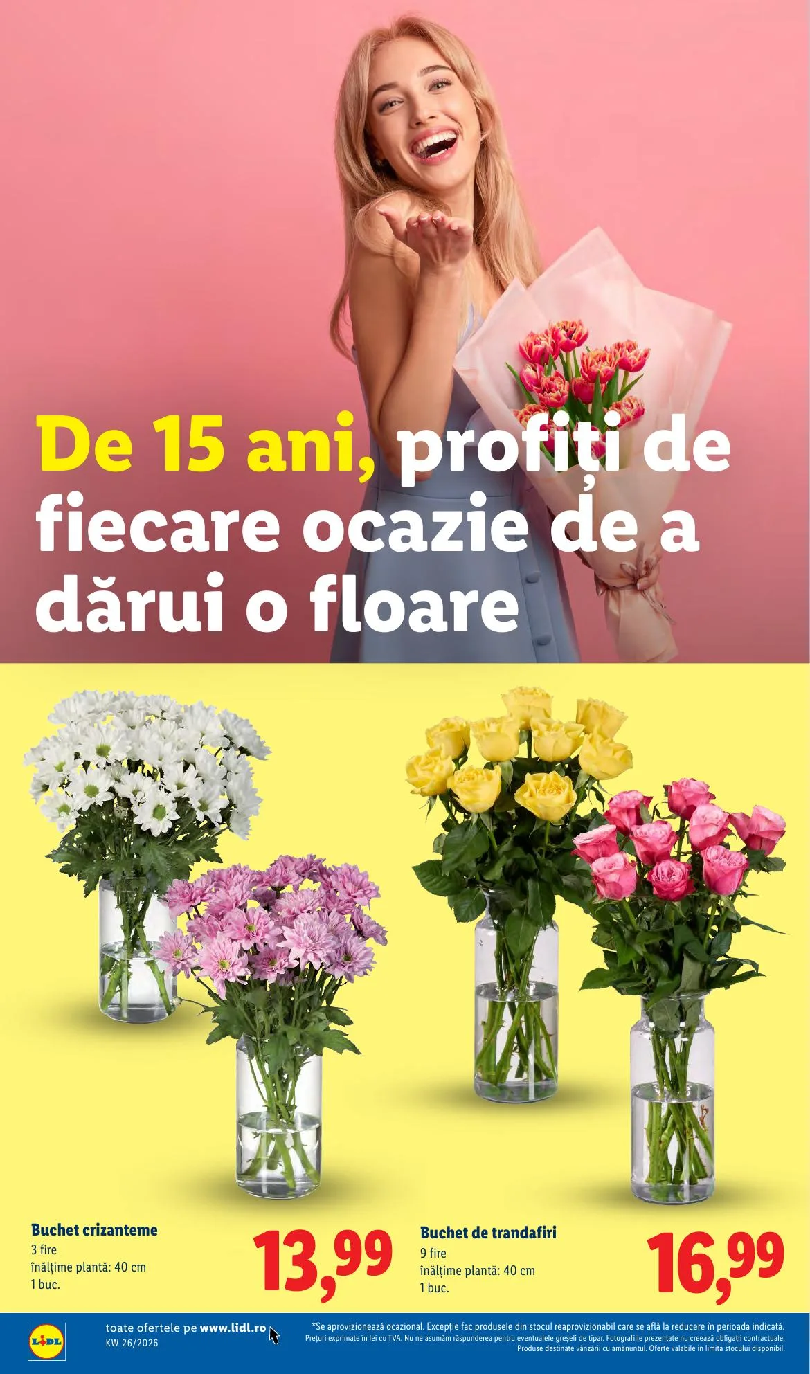 Lidl akciós újság Románia 06.22–06.28 – 54. oldal