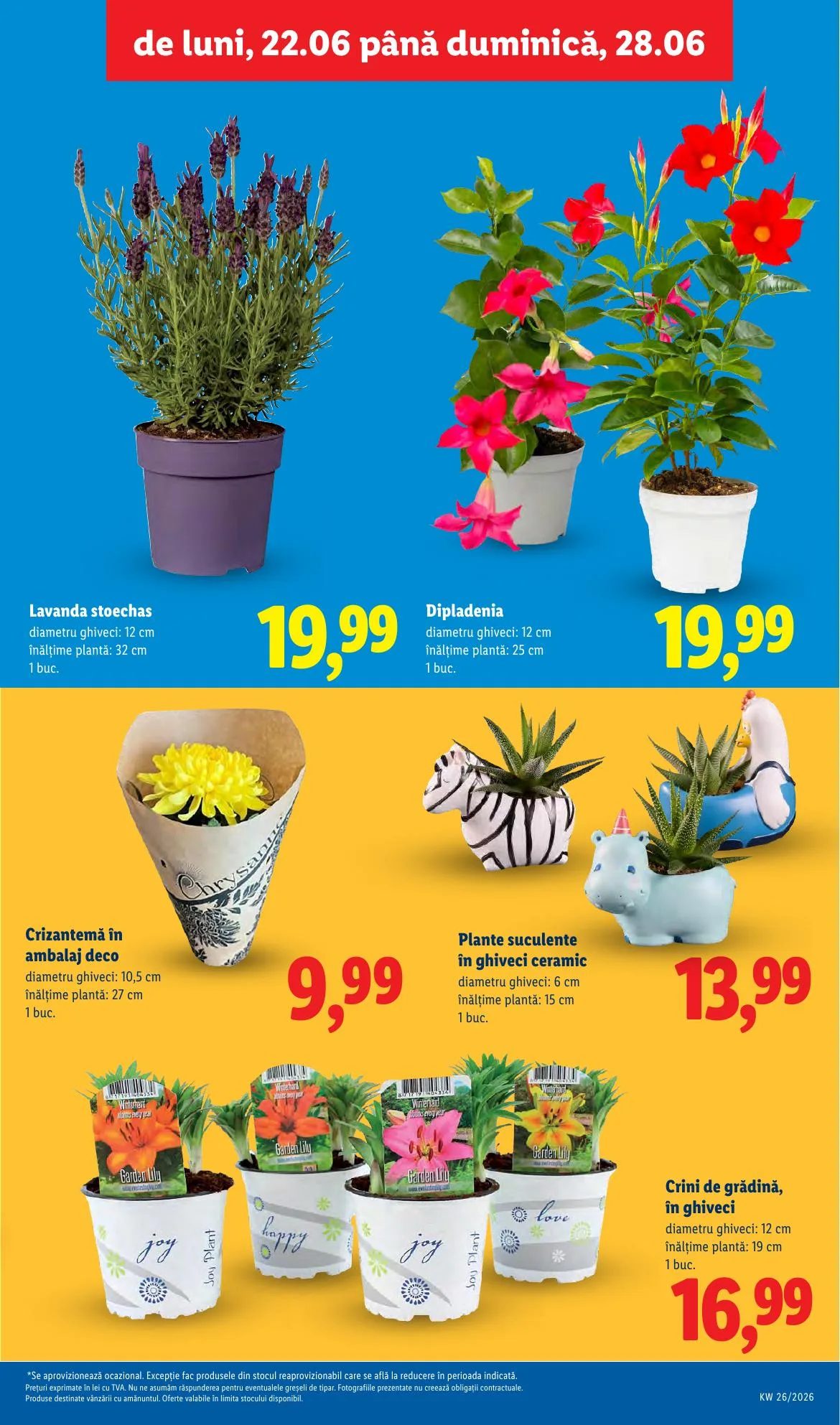 Lidl akciós újság Románia 06.22–06.28 – 55. oldal