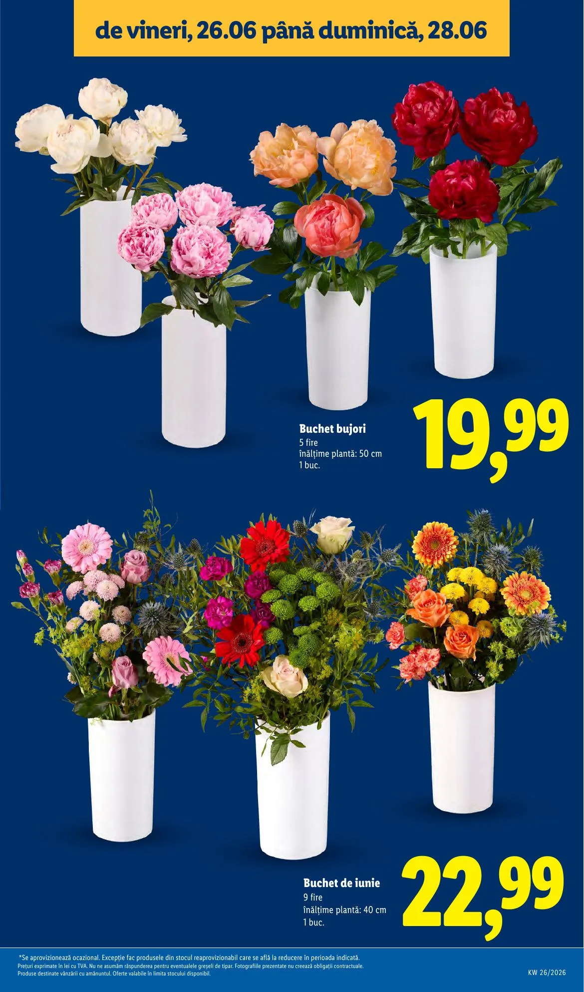 Lidl akciós újság Románia 06.22–06.28 – 57. oldal