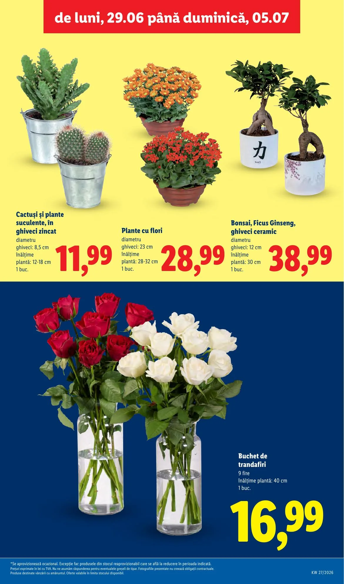Lidl akciós újság Románia 06.29–07.05 – 57. oldal