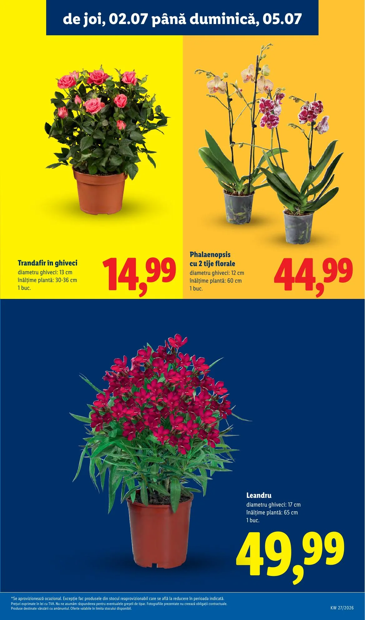 Lidl akciós újság Románia 06.29–07.05 – 59. oldal