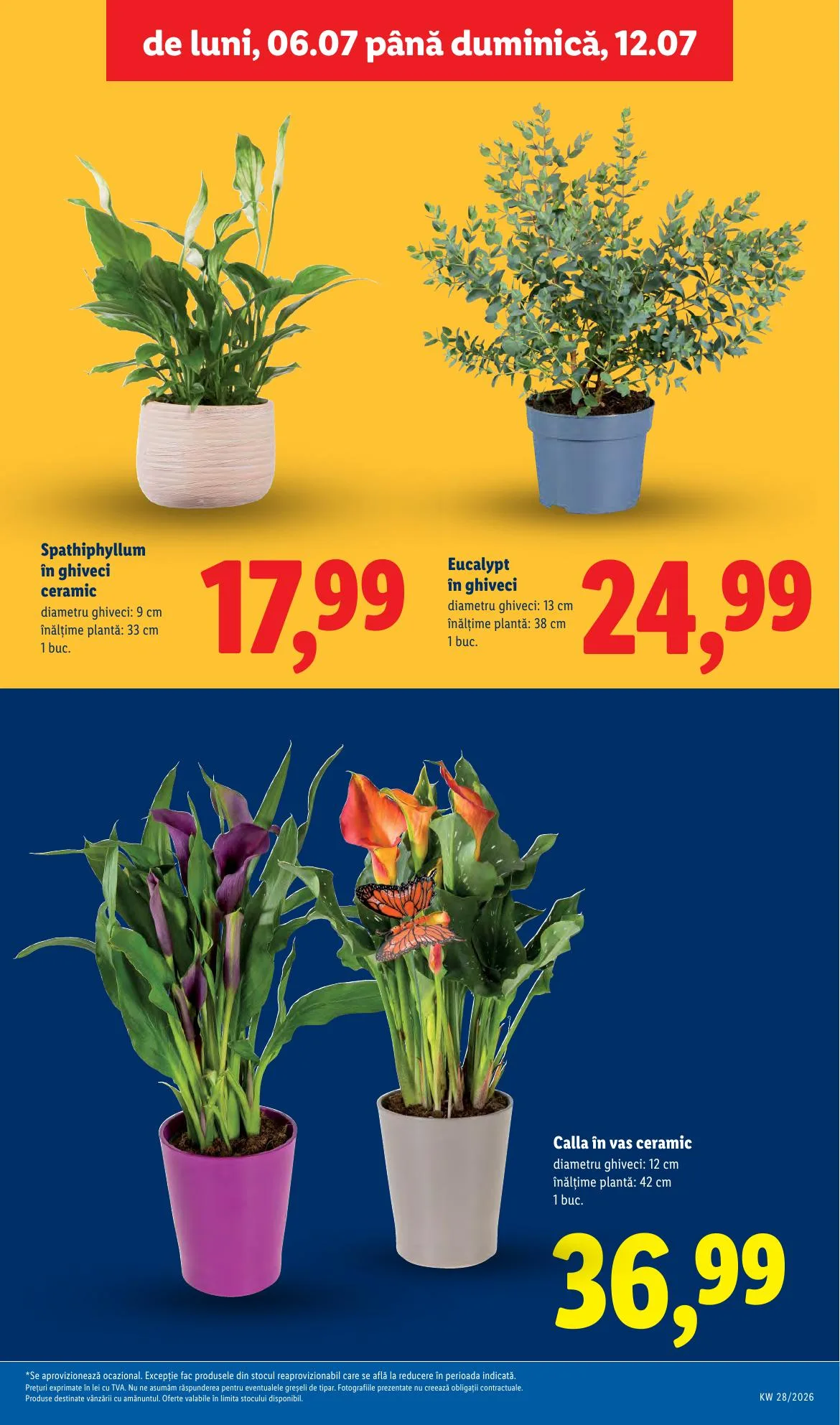 Lidl akciós újság Románia 07.06–07.12 – 53. oldal