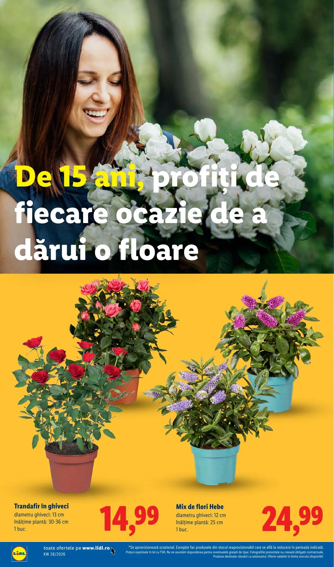 Lidl akciós újság Románia 07.06–07.12 – 54. oldal