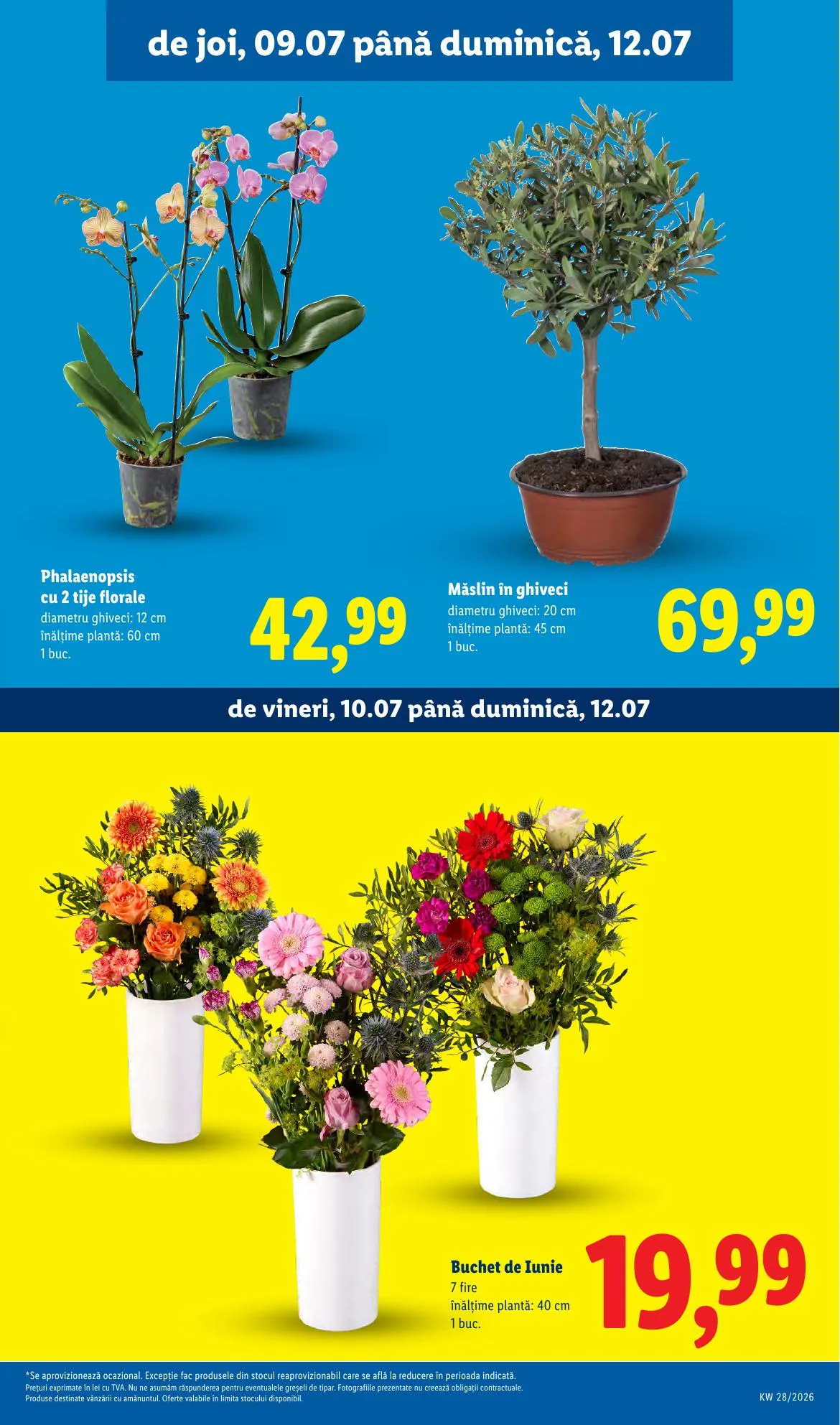 Lidl akciós újság Románia 07.06–07.12 – 55. oldal