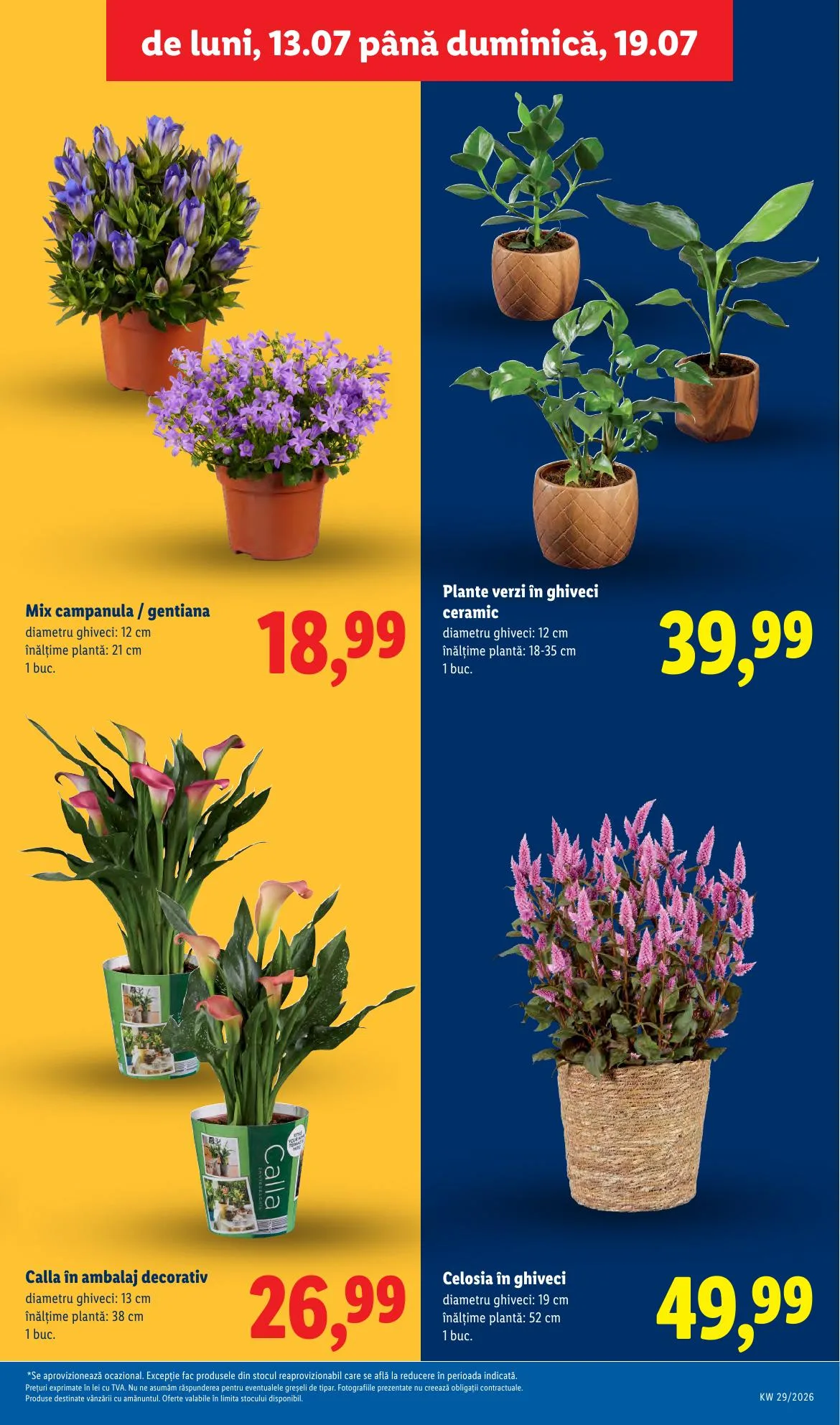 Lidl akciós újság Románia 07.13–07.19 – 57. oldal
