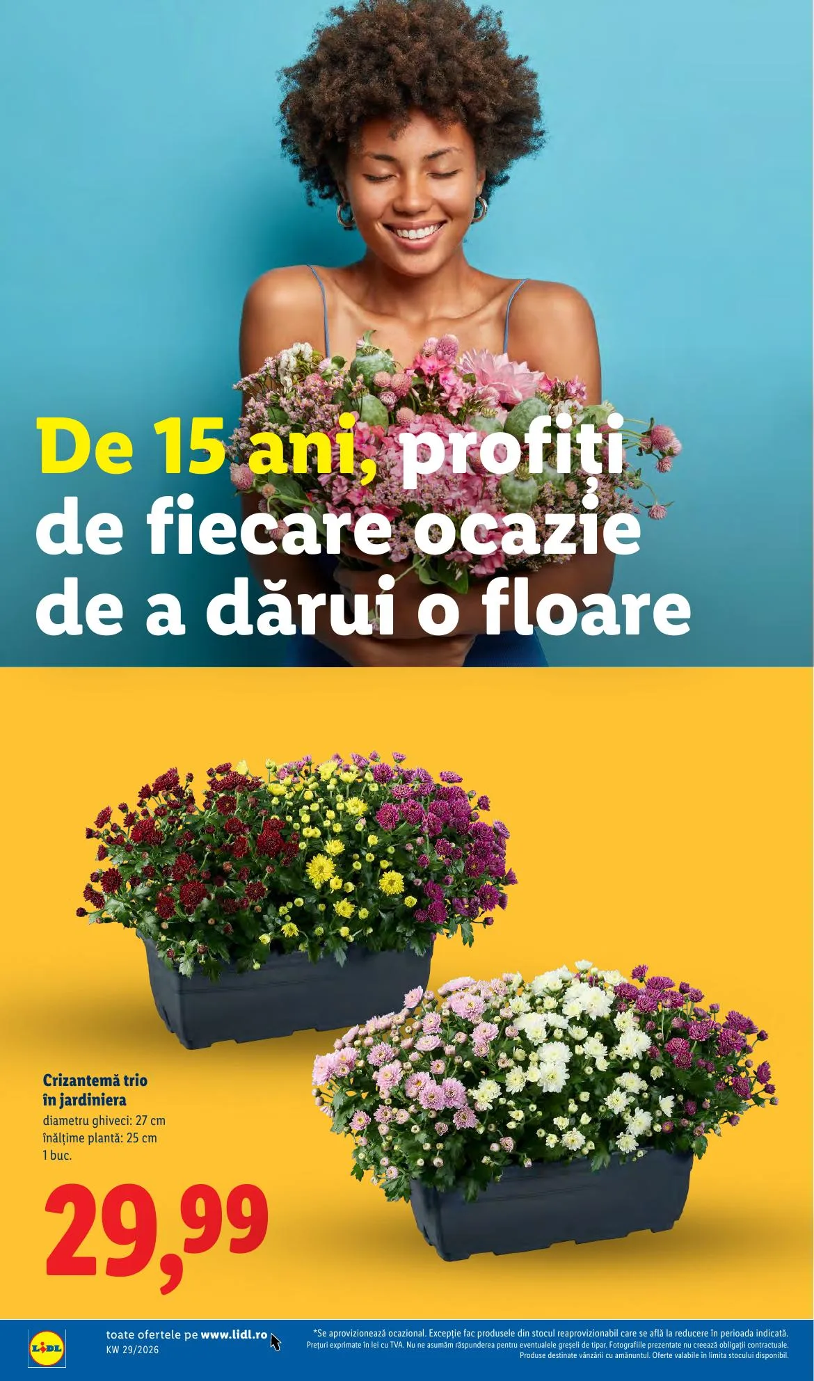 Lidl akciós újság Románia 07.13–07.19 – 58. oldal