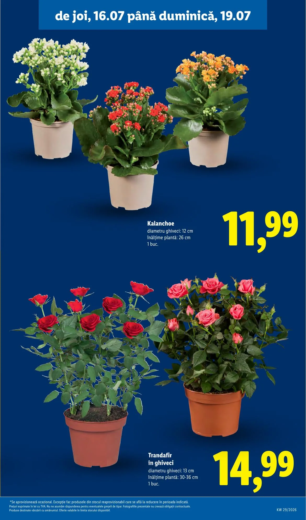 Lidl akciós újság Románia 07.13–07.19 – 59. oldal