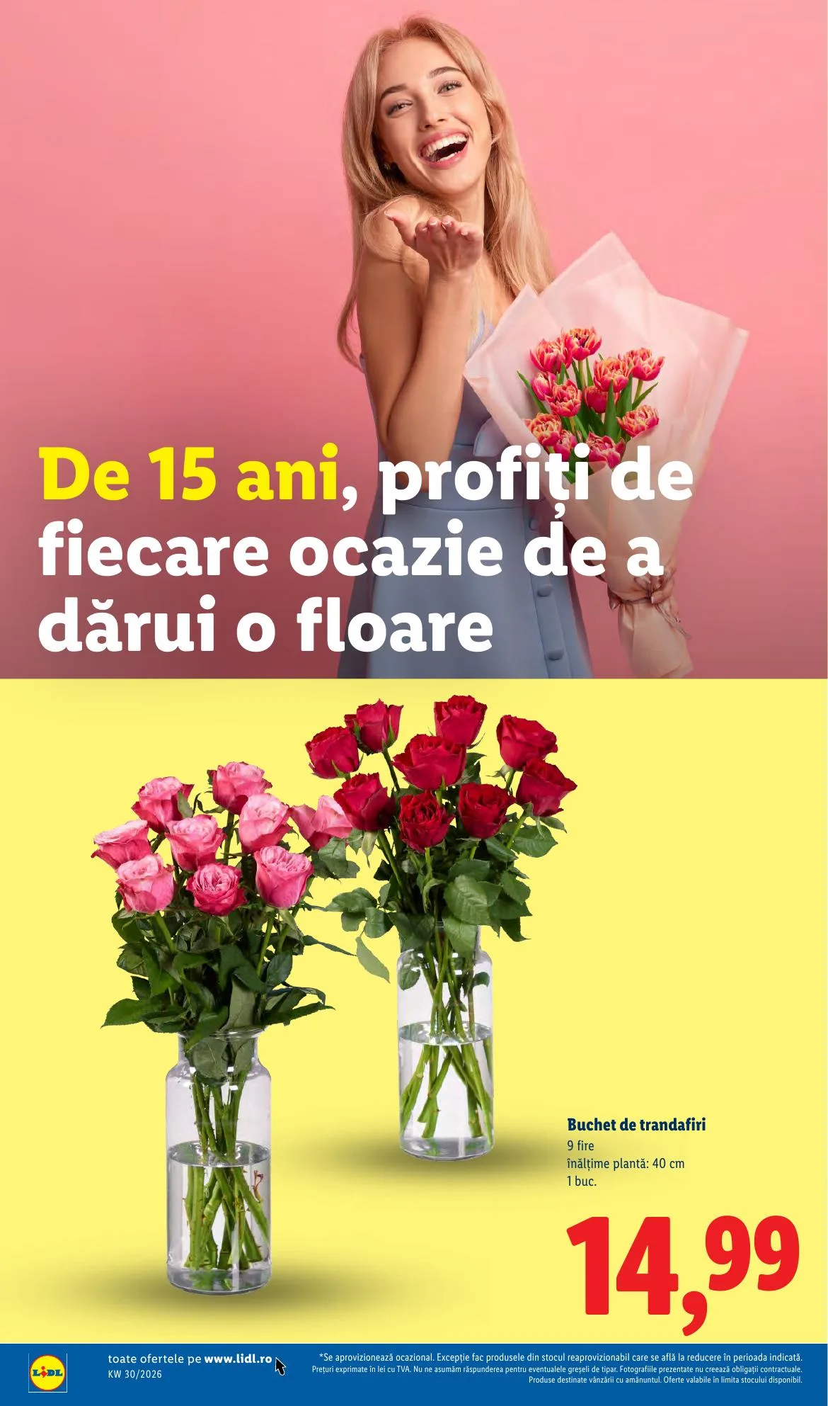 Lidl akciós újság Románia 07.20–07.26 – 52. oldal