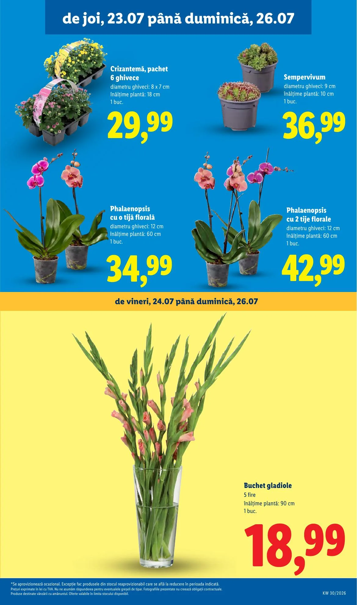 Lidl akciós újság Románia 07.20–07.26 – 55. oldal