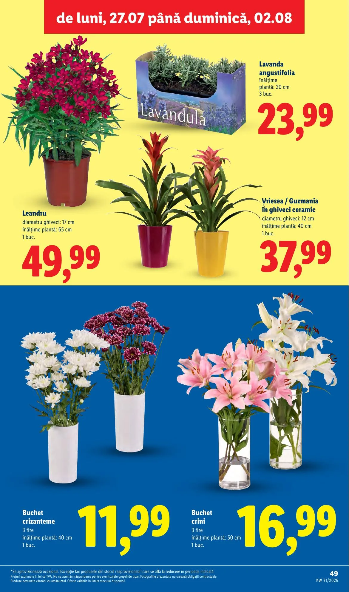 Lidl akciós újság Románia 07.27–08.02 – 49. oldal