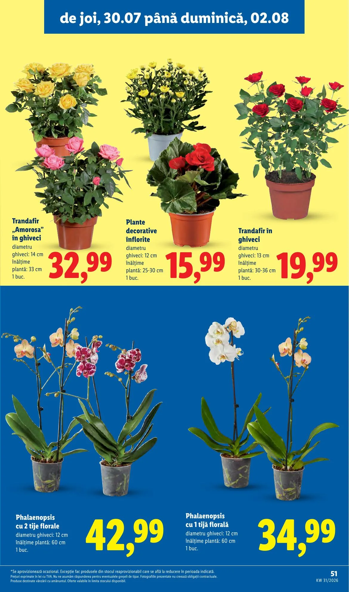 Lidl akciós újság Románia 07.27–08.02 – 51. oldal