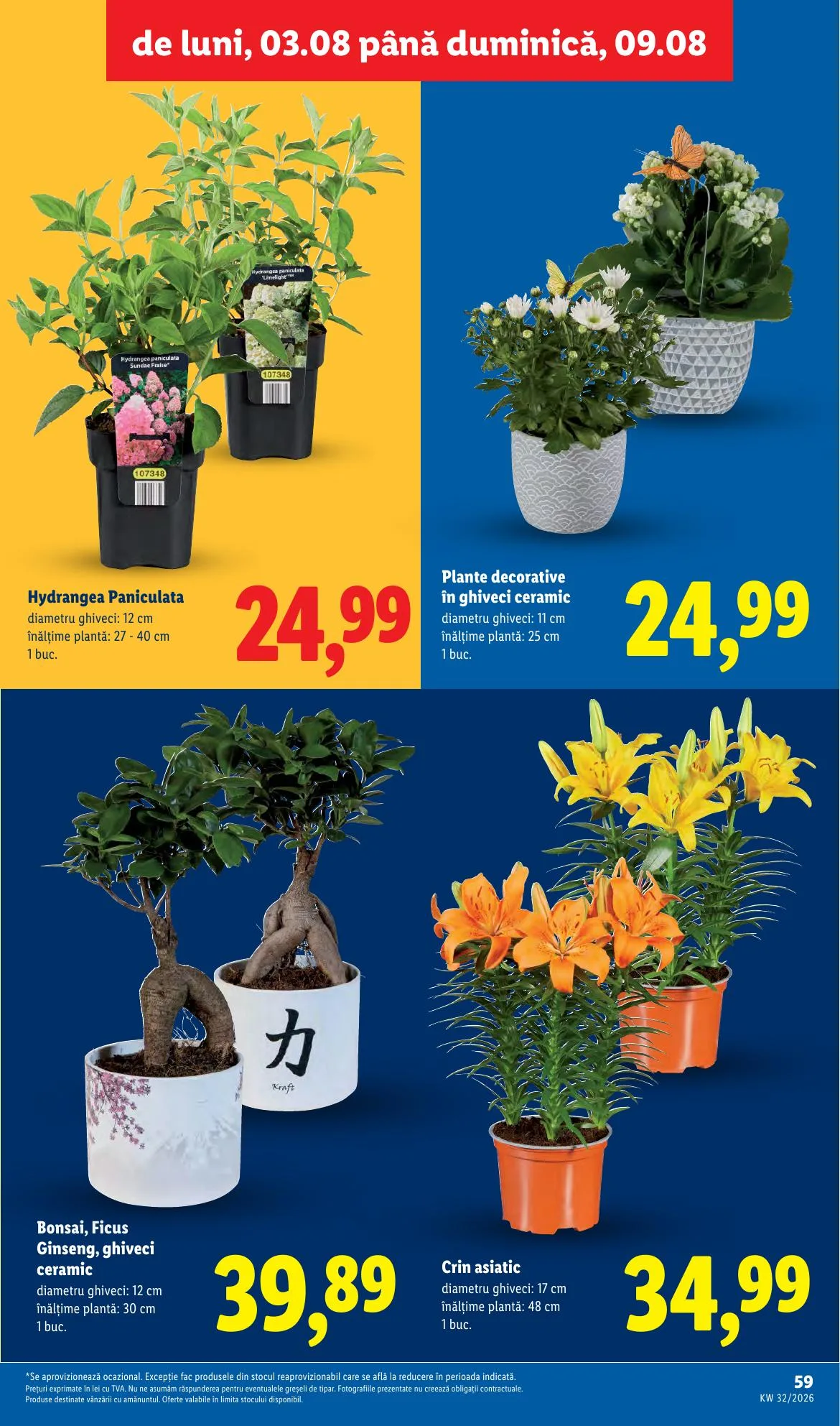 Lidl akciós újság Románia 08.03–08.09 – 59. oldal