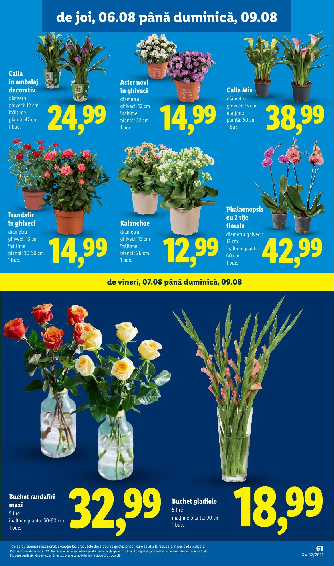 Lidl akciós újság Románia 08.03–08.09 – 61. oldal