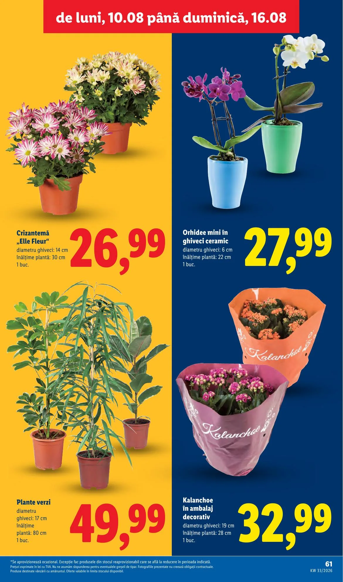 Lidl akciós újság Románia 08.10–08.16 – 61. oldal