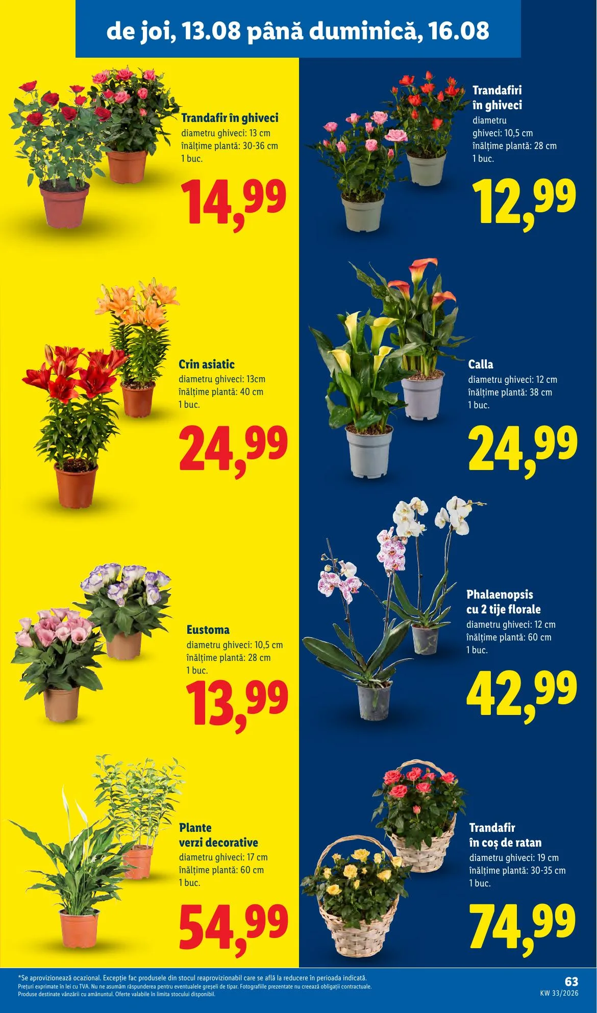 Lidl akciós újság Románia 08.10–08.16 – 63. oldal