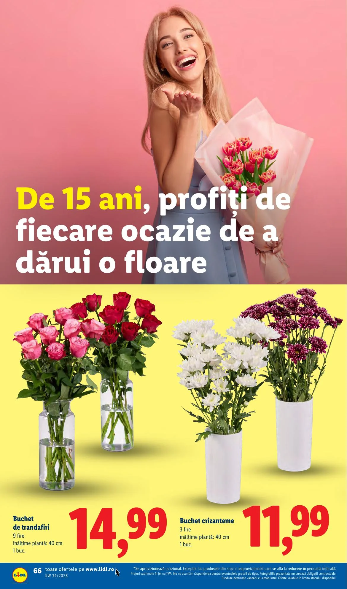 Lidl akciós újság Románia 08.17–08.23 – 66. oldal