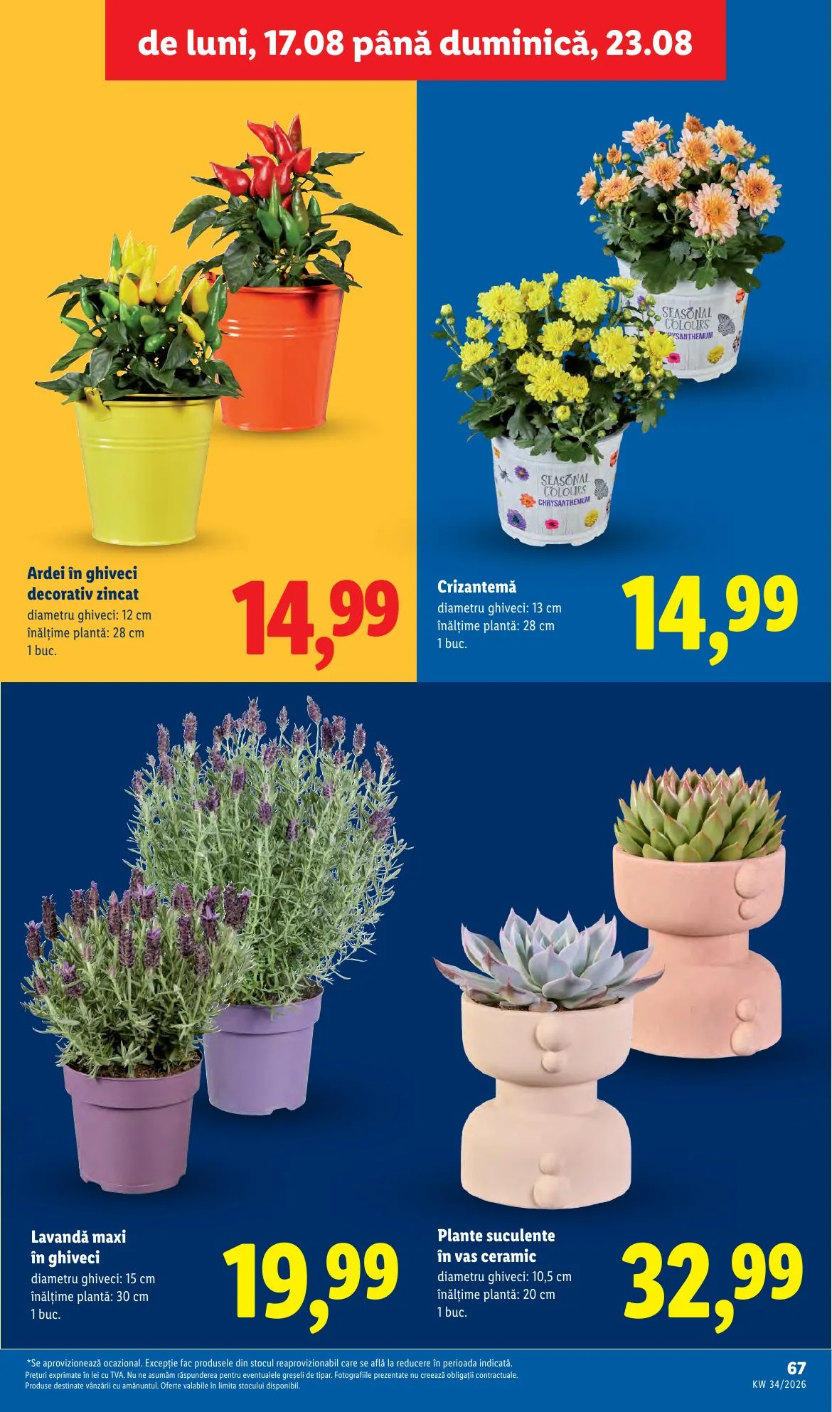 Lidl akciós újság Románia 08.17–08.23 – 67. oldal